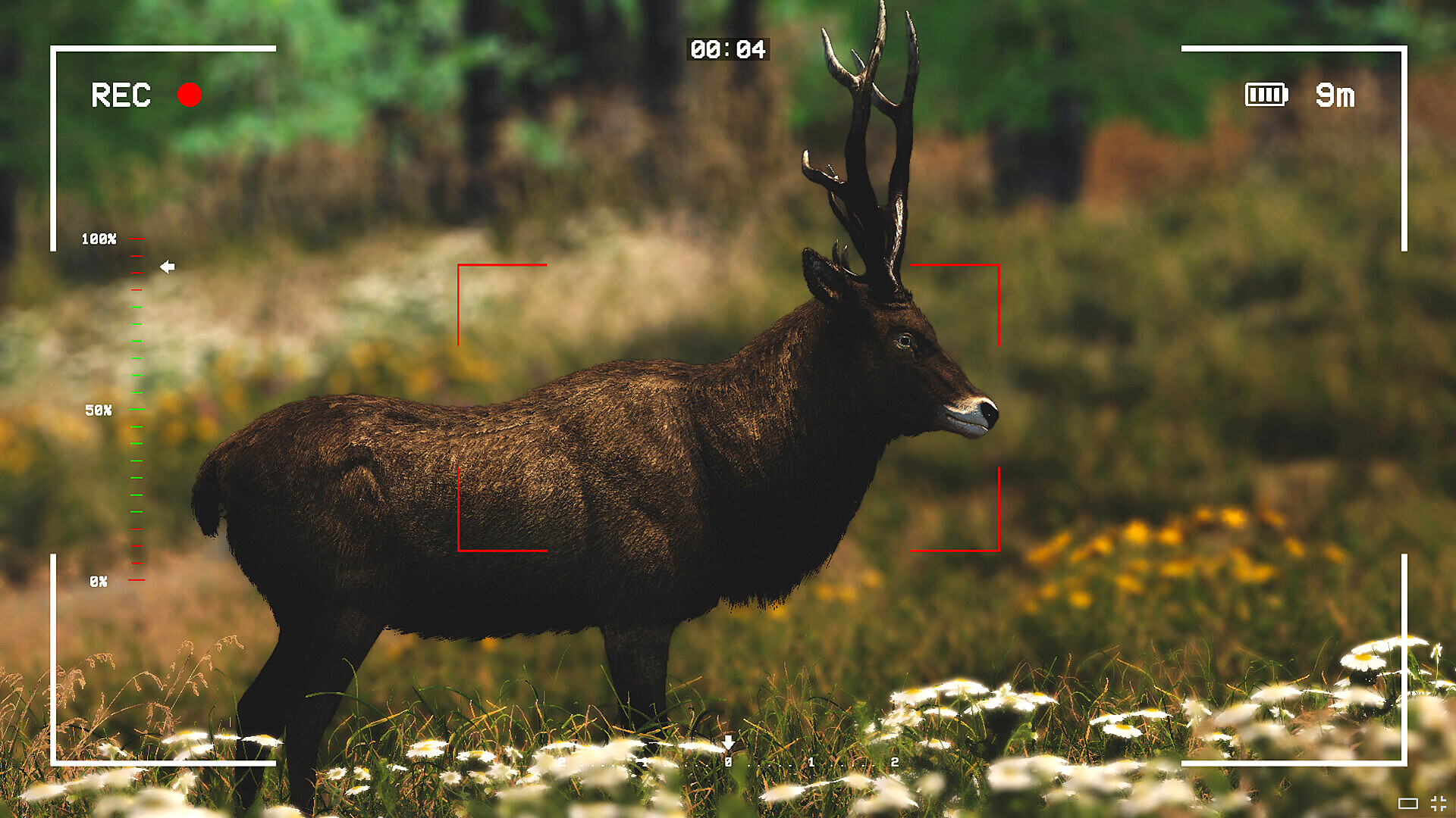 野生動物撮影シミュレーションゲーム『Capture The Wild』のSteamストアページが公開中_001