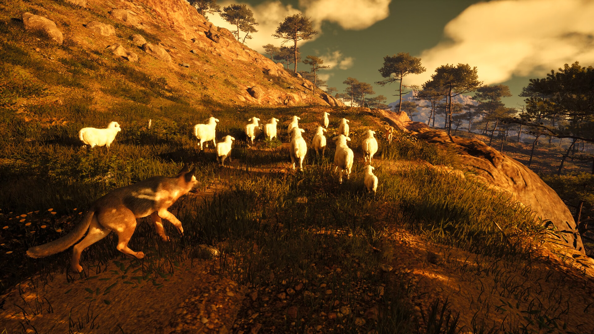 article-thumbnail-2604162r