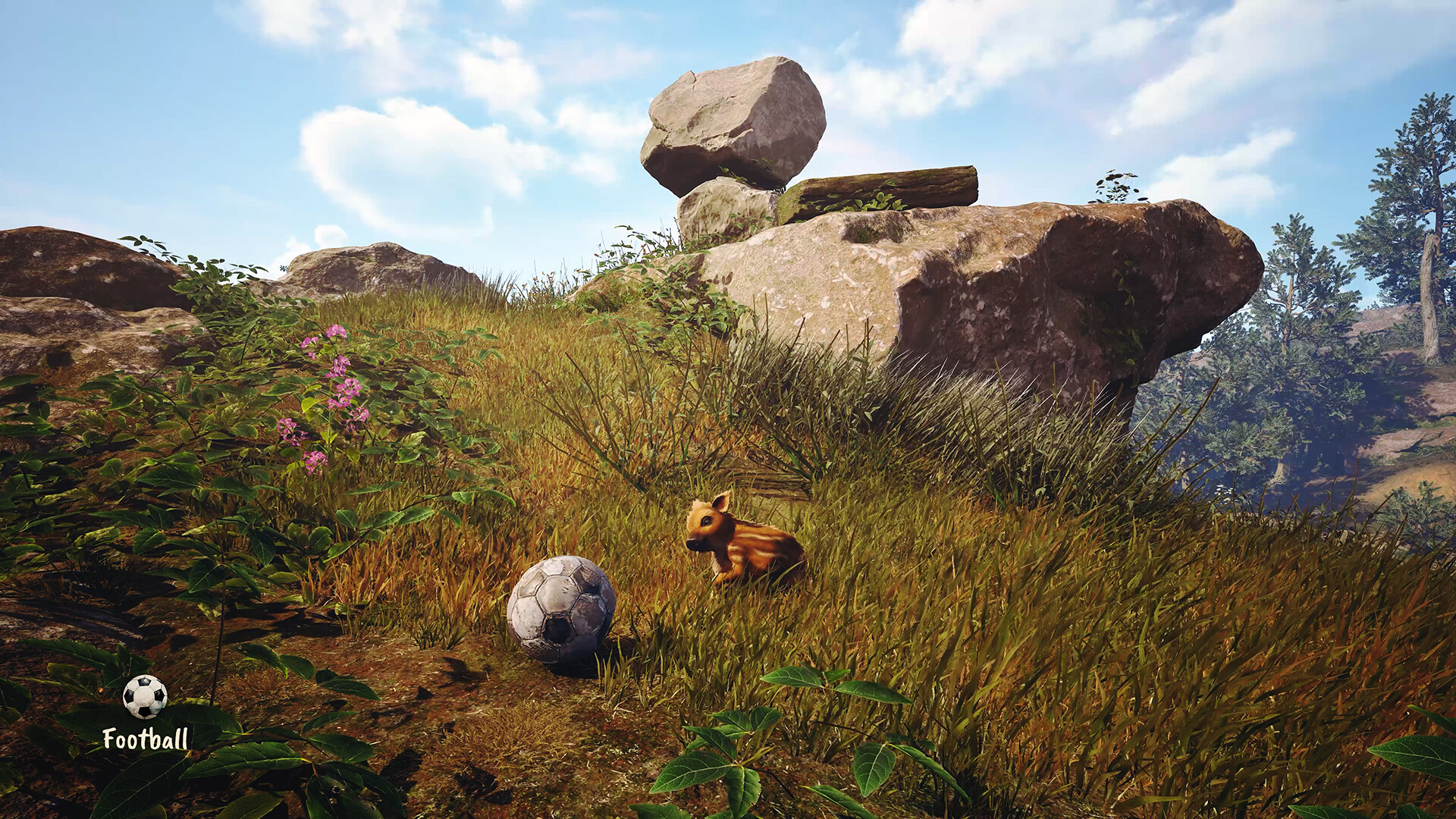 「アドラブル・アドベンチャー」4月30日発売。「赤ちゃんイノシシ」のお尻がとにかくかわいい探検ゲーム_003