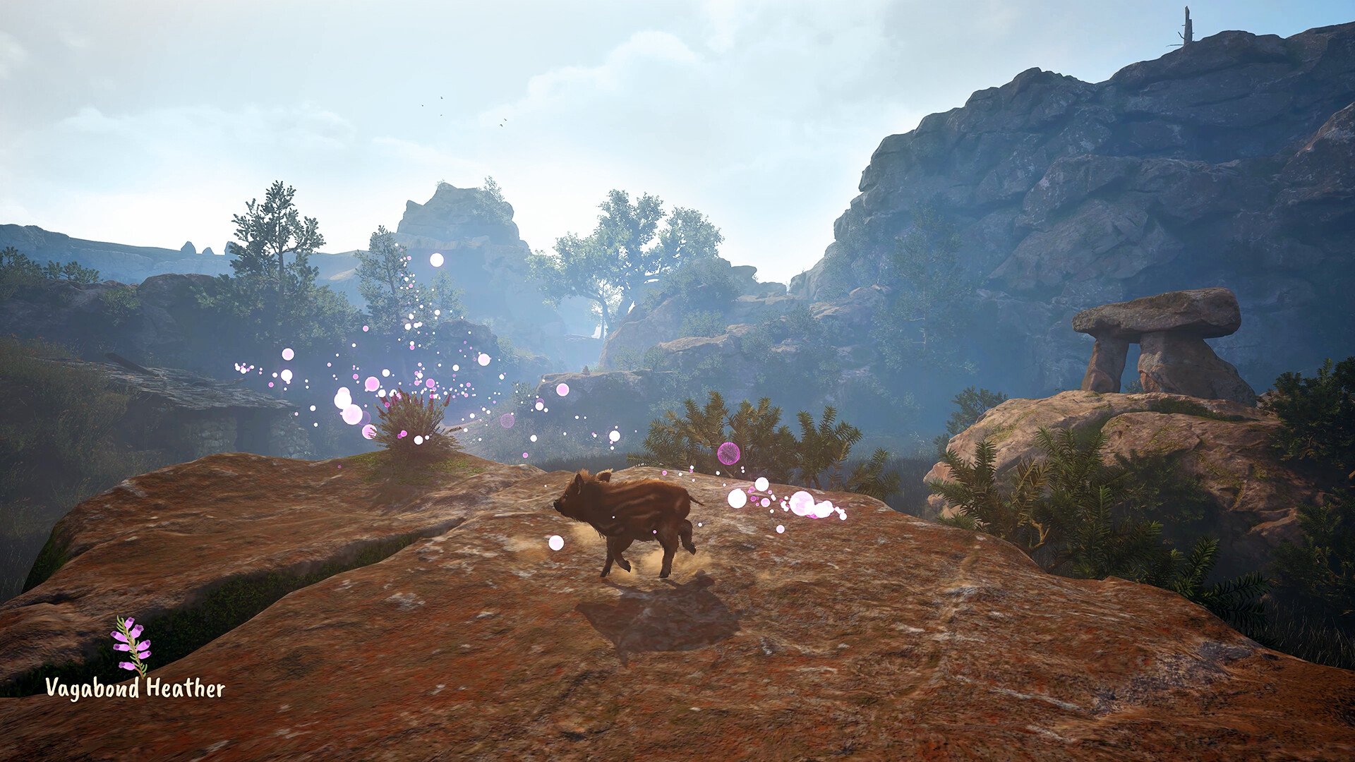 「アドラブル・アドベンチャー」4月30日発売。「赤ちゃんイノシシ」のお尻がとにかくかわいい探検ゲーム_001