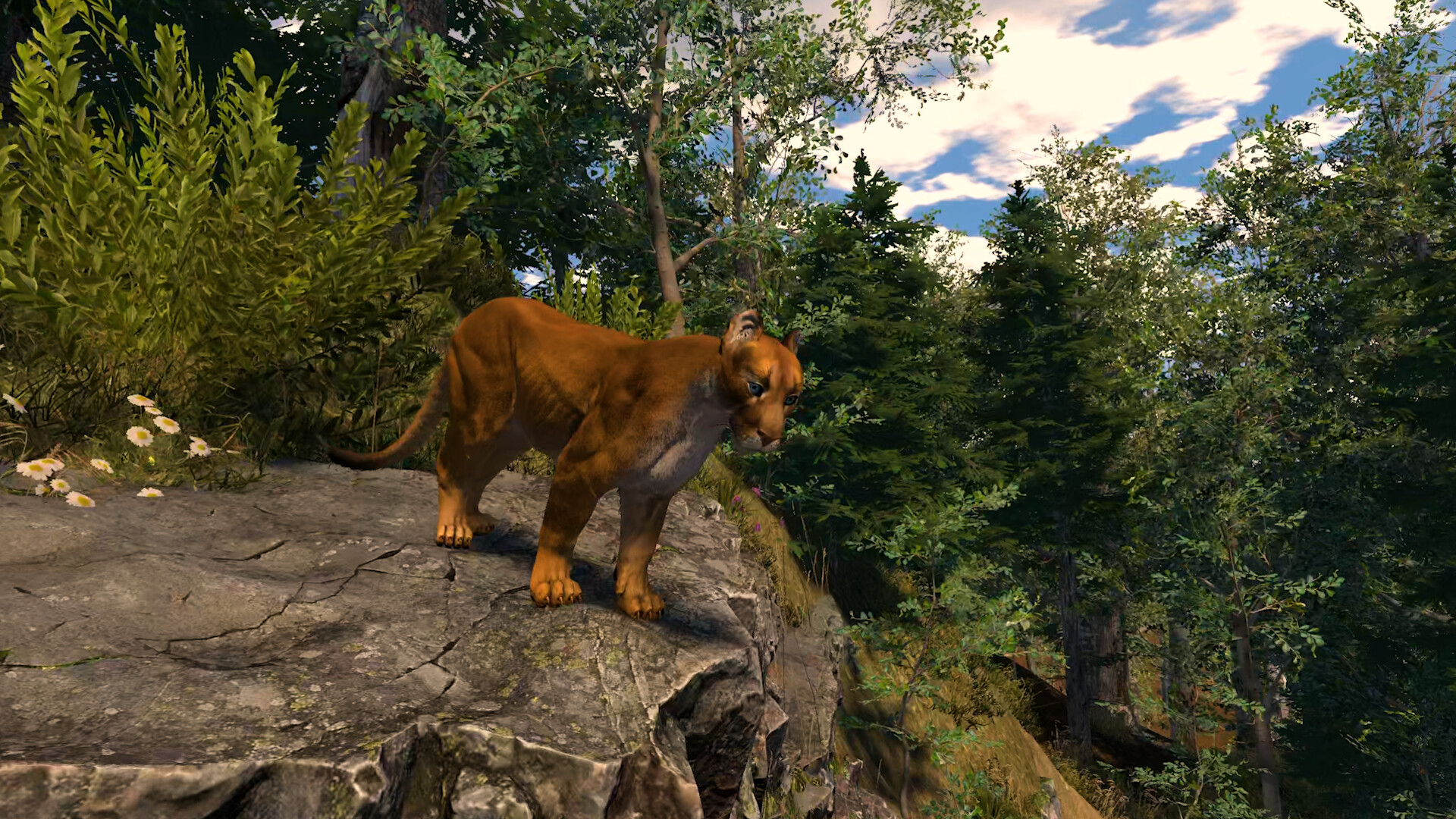 野生動物撮影シミュレーションゲーム『Capture The Wild』のSteamストアページが公開中_003