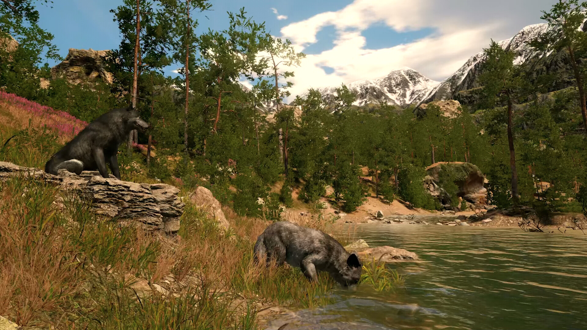 野生動物撮影シミュレーションゲーム『Capture The Wild』のSteamストアページが公開中_006