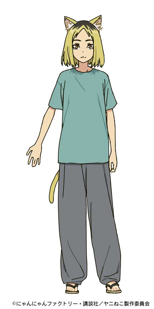 TVアニメ『ヤニねこ』7月2日より放送決定。ヤクねこやハメねこらキャラが集合するビジュアルが解禁_003