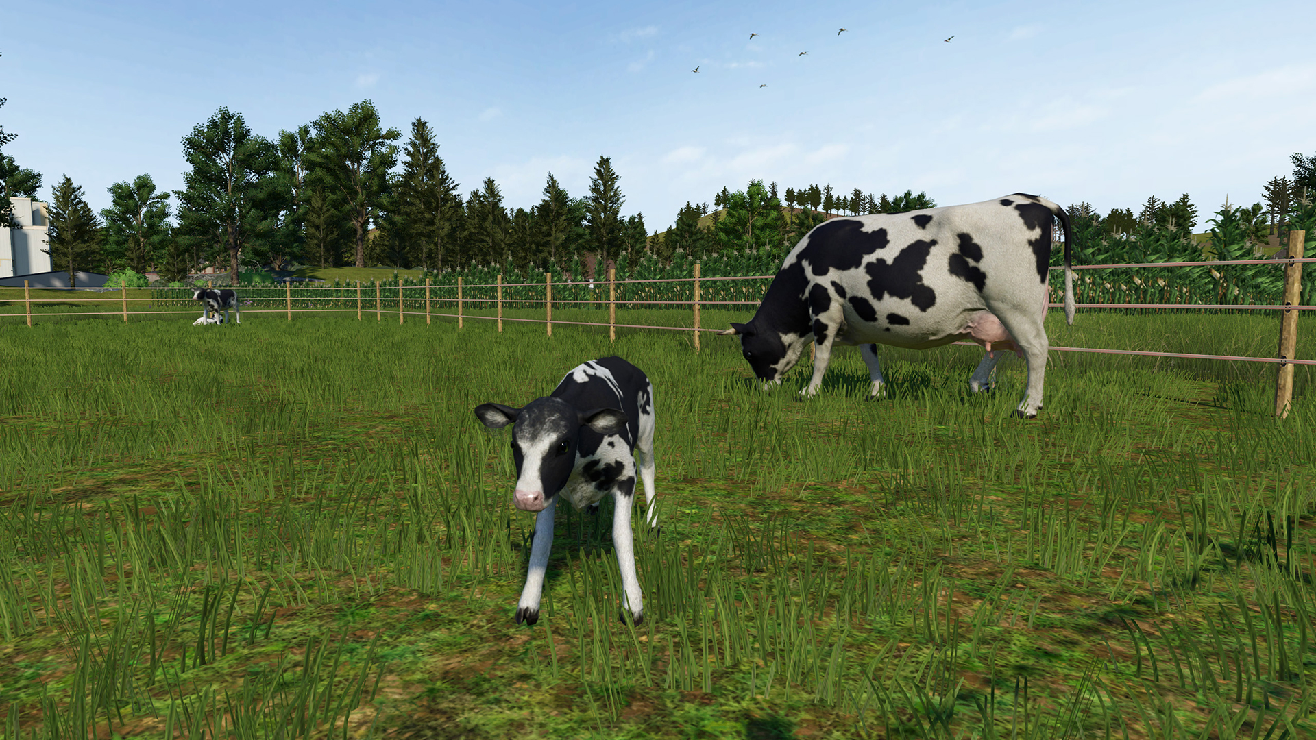『Farming Simulator 26』のパッケージ版がNintendo Switch向けに発売_005