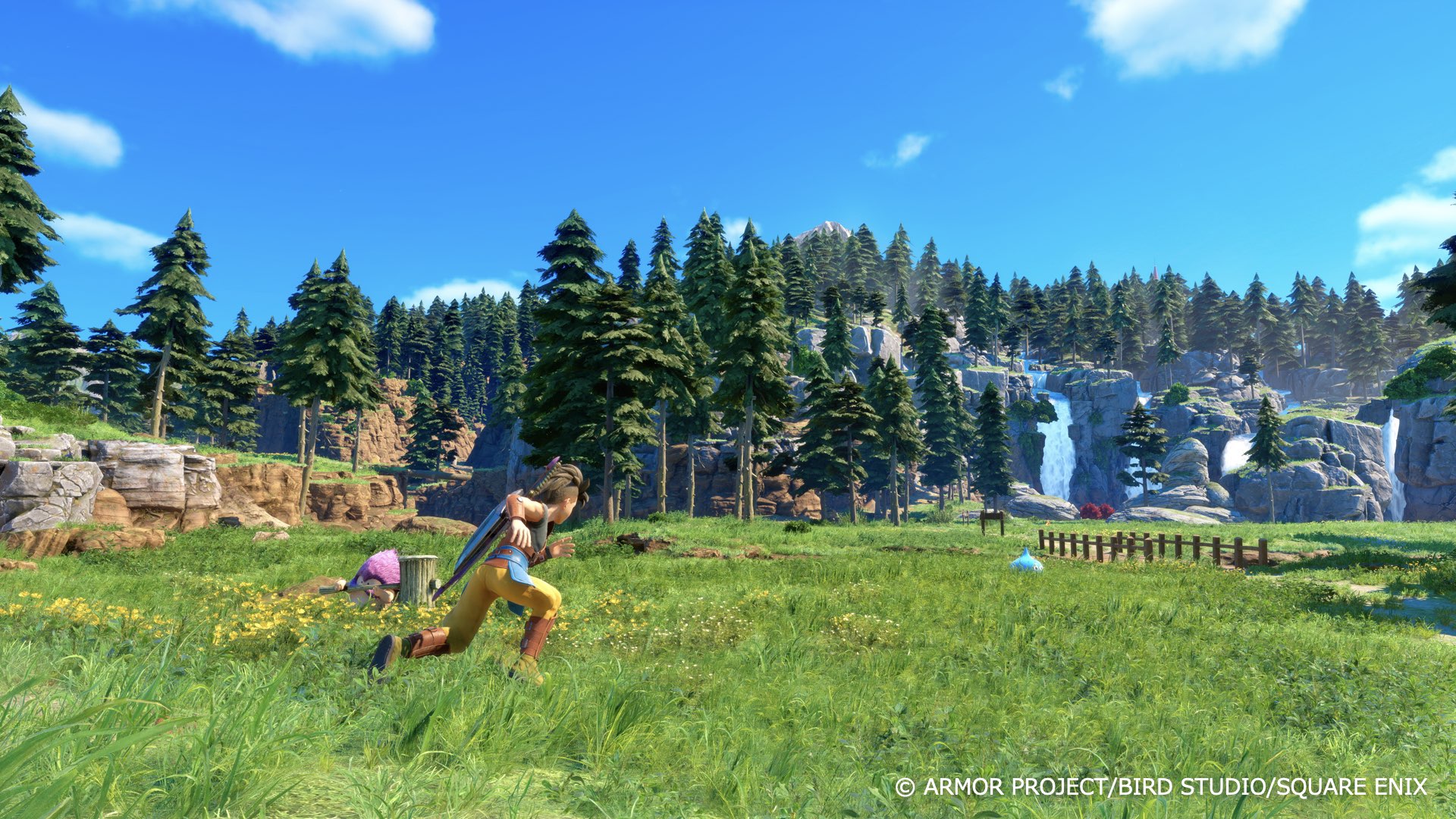 『ドラゴンクエストモンスターズ 4 枯れ木の国のビアンカ・フローラ』発表_014