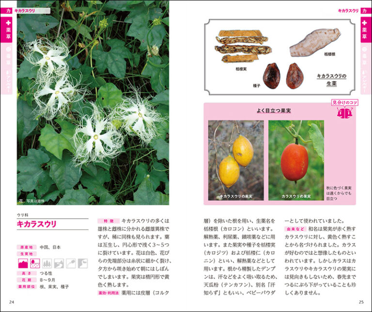 書籍『薬草・毒草を見分ける図鑑』Kindle版が66％オフとなるセール中。各植物の特徴や見分け方を写真付きで解説_003