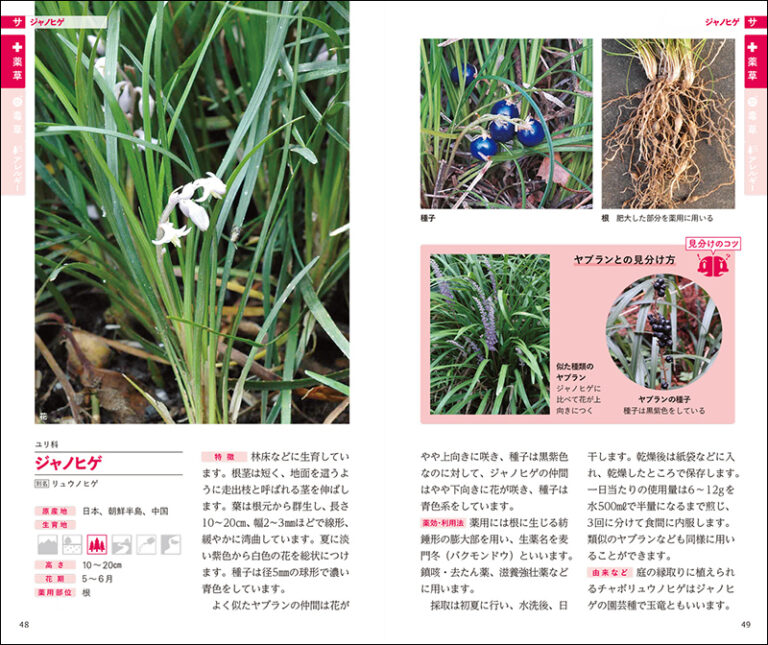 書籍『薬草・毒草を見分ける図鑑』Kindle版が66％オフとなるセール中。各植物の特徴や見分け方を写真付きで解説_002