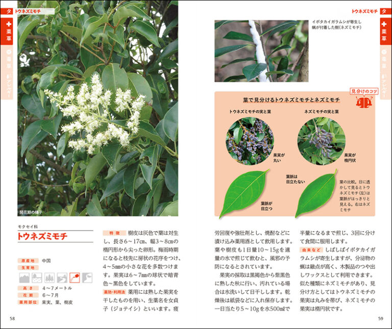 書籍『薬草・毒草を見分ける図鑑』Kindle版が66％オフとなるセール中。各植物の特徴や見分け方を写真付きで解説_001