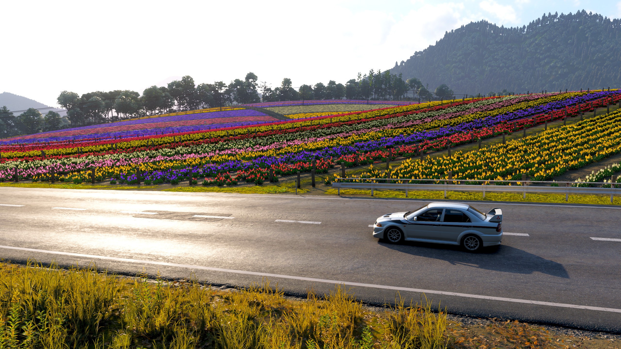 『Forza Horizon 6』日本が美しすぎてゲームが進行しない人が国内外で続出_017