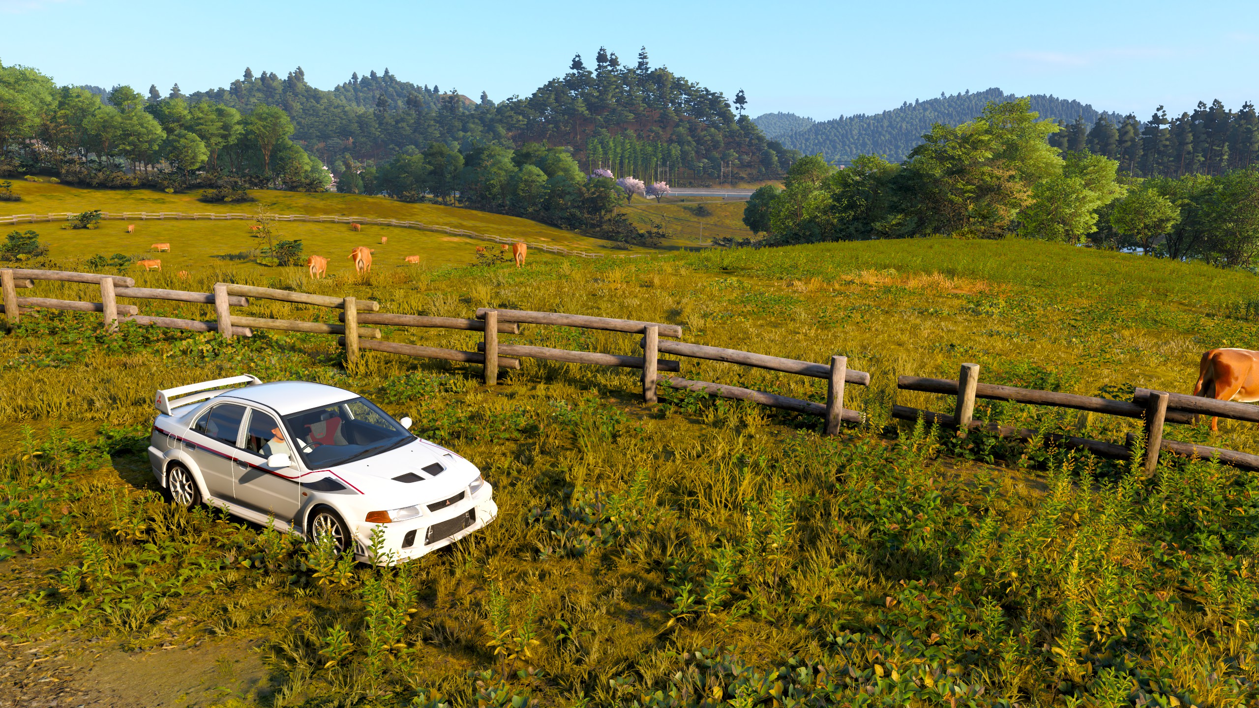 『Forza Horizon 6』日本が美しすぎてゲームが進行しない人が国内外で続出_018