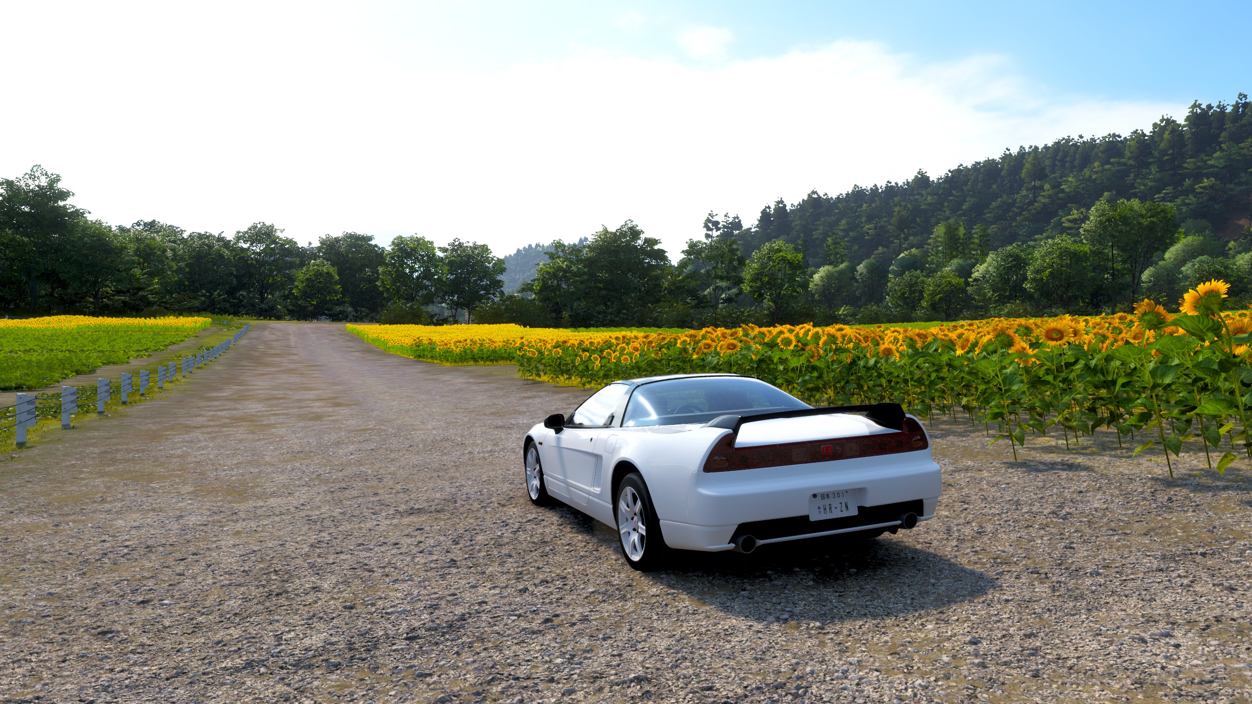 『Forza Horizon 6』に“夏”が到来。「ひまわり」が咲き始めたほか、イベントもスタート_016