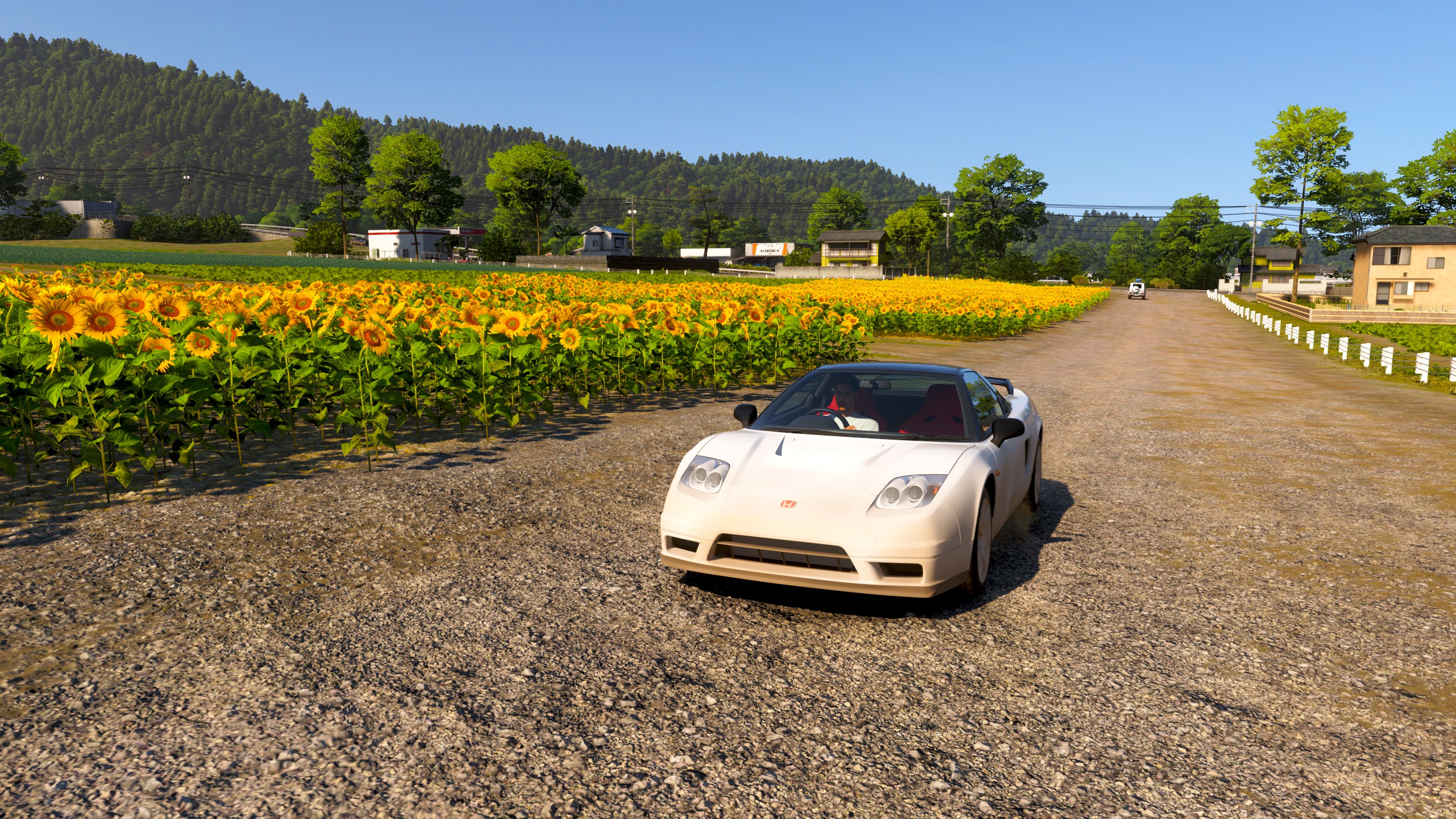 『Forza Horizon 6』に“夏”が到来。「ひまわり」が咲き始めたほか、イベントもスタート_001
