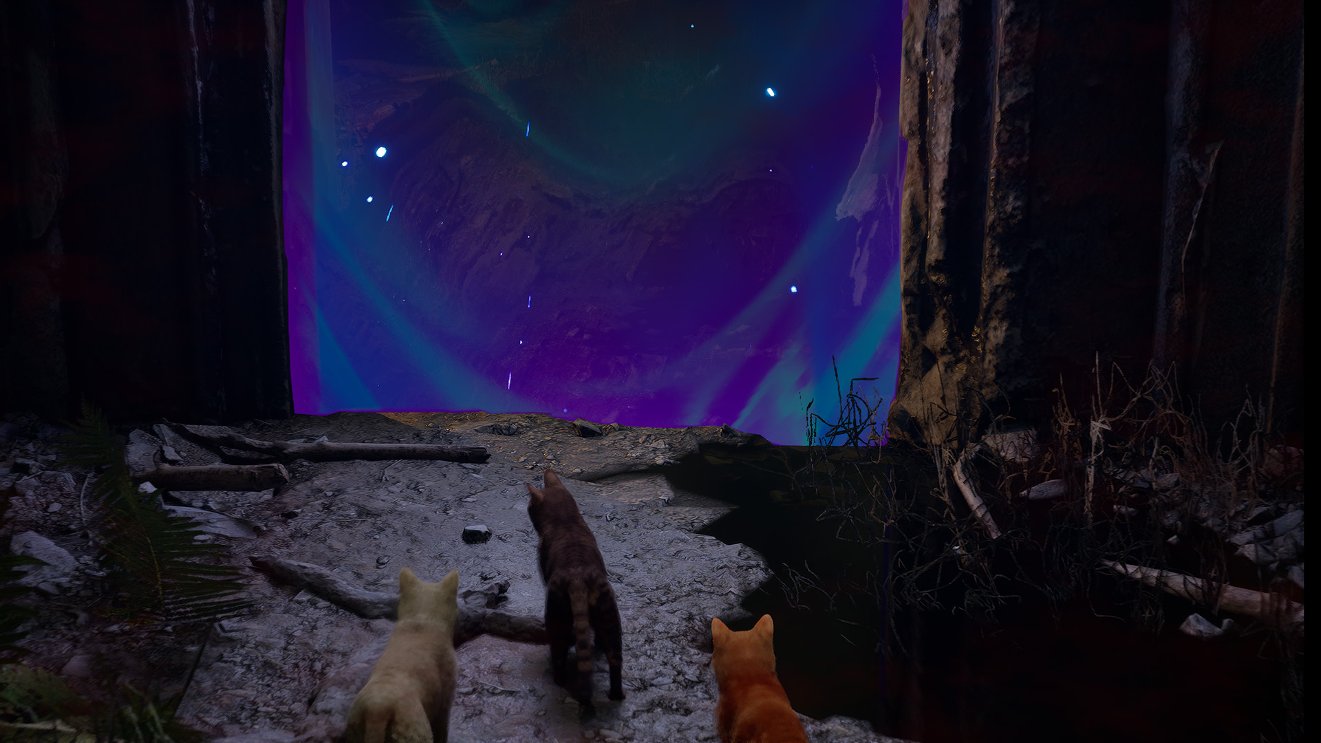 飼い主と会うために「ネコ」が悪夢の世界を旅するホラーゲーム『Meowmories』体験版が近日配信予定_003