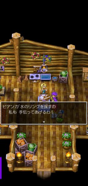 『ドラクエⅤ』レビュー・評価・感想：シリーズ未経験の現役高校生が、結婚前夜でリアル一晩悩むくらいドハマりしてしまった_004