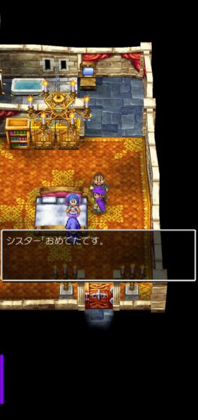 『ドラクエⅤ』レビュー・評価・感想：シリーズ未経験の現役高校生が、結婚前夜でリアル一晩悩むくらいドハマりしてしまった_022