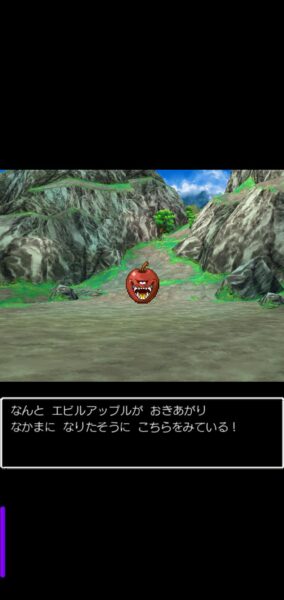 『ドラクエⅤ』レビュー・評価・感想：シリーズ未経験の現役高校生が、結婚前夜でリアル一晩悩むくらいドハマりしてしまった_028