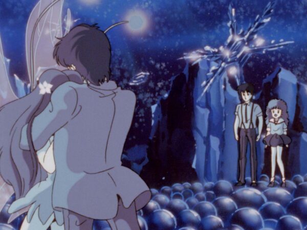 『魔法の妖精ペルシャ』初のBlu-rayが6月24日に発売。岸義之氏描き下ろしイラスト使用の「くるみBOX」デザインが公開_008