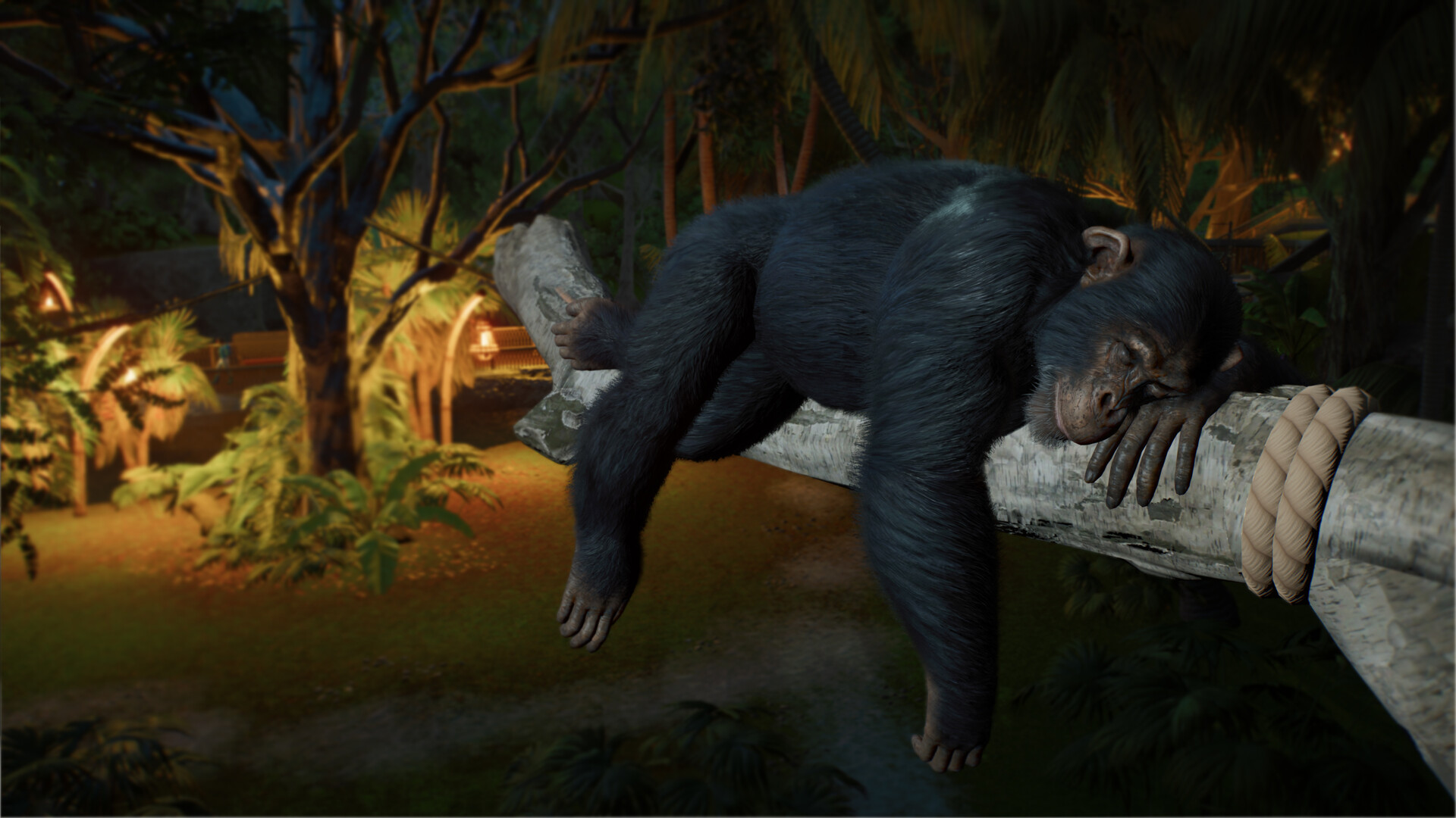 『Planet Zoo 2』発表!10月13日に発売決定。自由自在に動物園を作れるゲーム新作。完全水生種と飛行する動物が追加_004