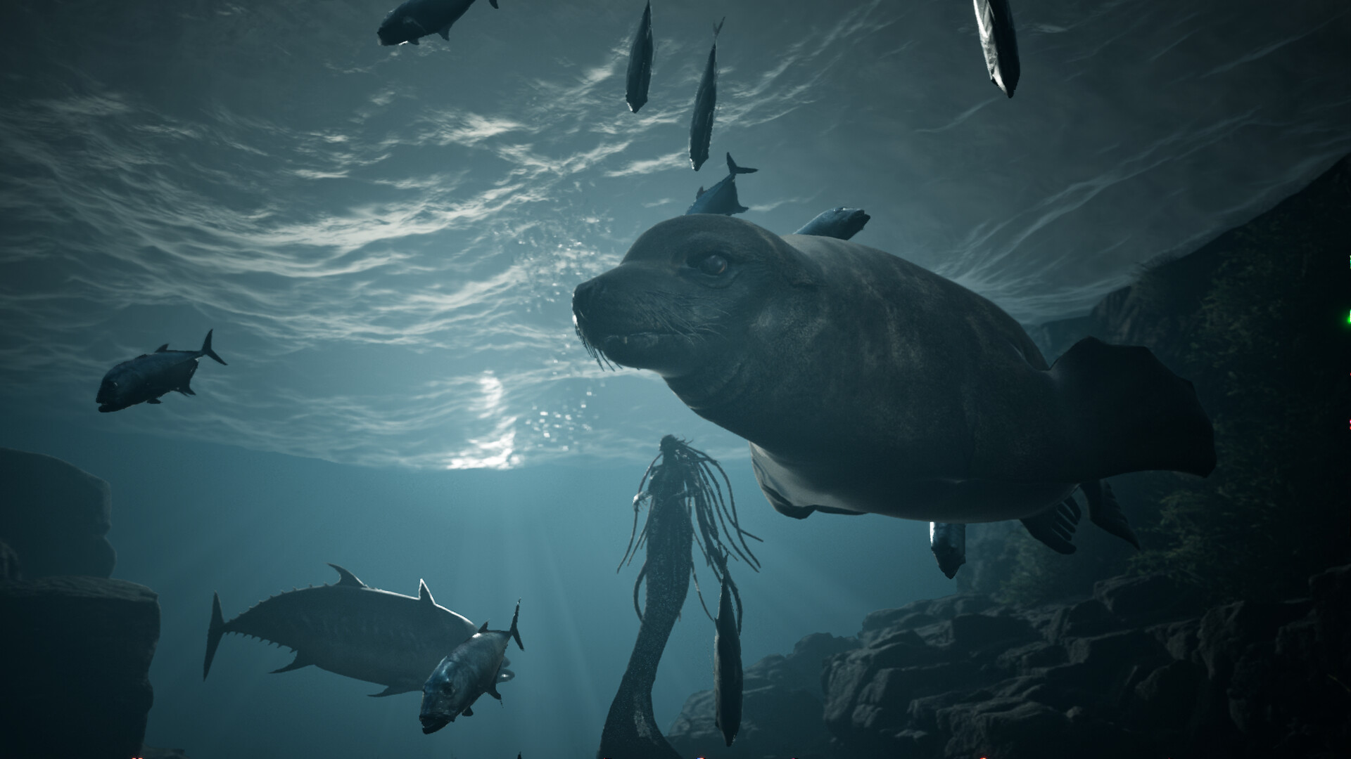 “ガチ”の人魚として海で暮らすゲーム『Sirens』が面白そう、敵対生物には“素手”で殴りかかるアグレッシブなセイレーンとなる_002