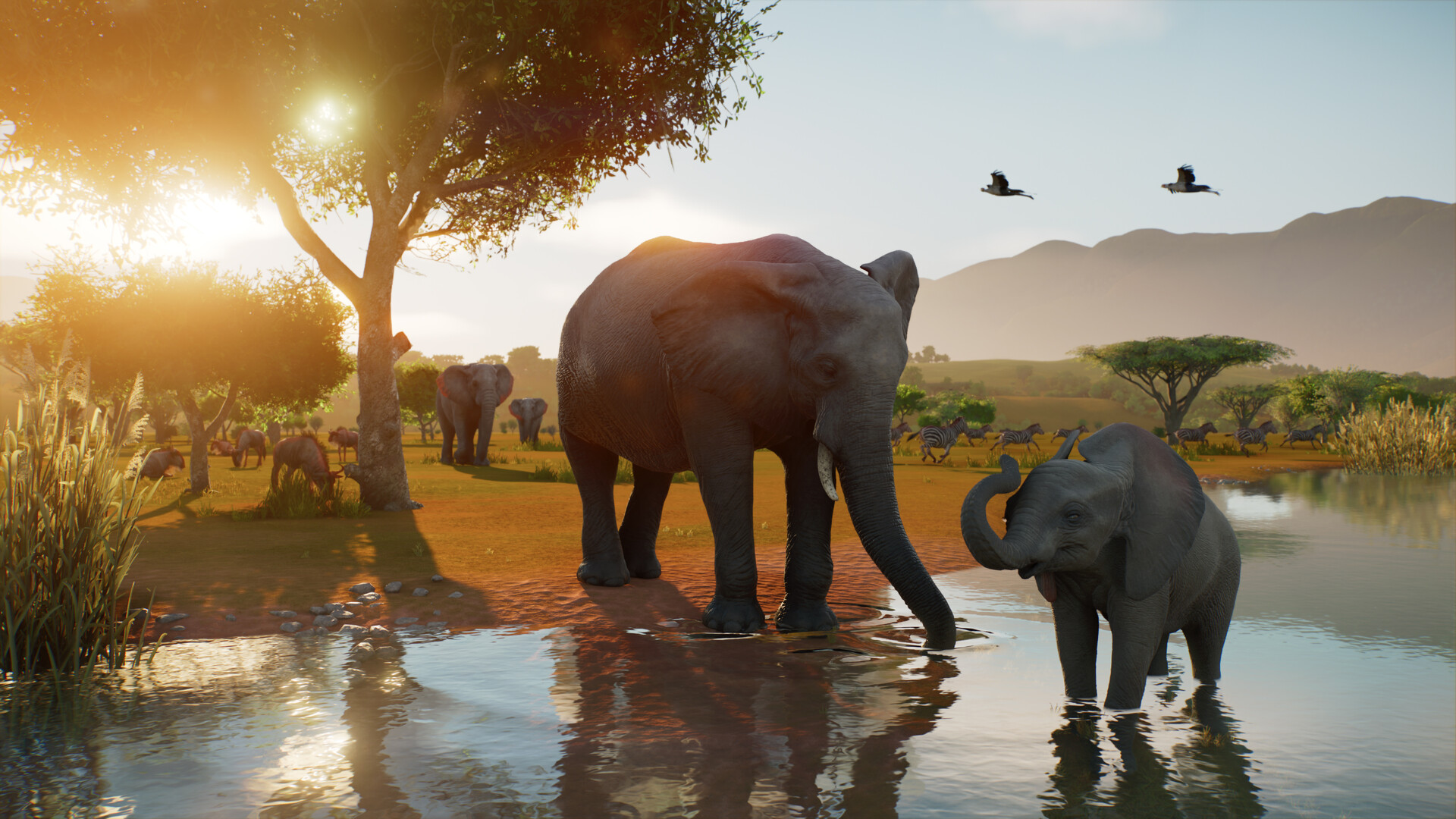 『Planet Zoo 2』発表!10月13日に発売決定。自由自在に動物園を作れるゲーム新作。完全水生種と飛行する動物が追加_001