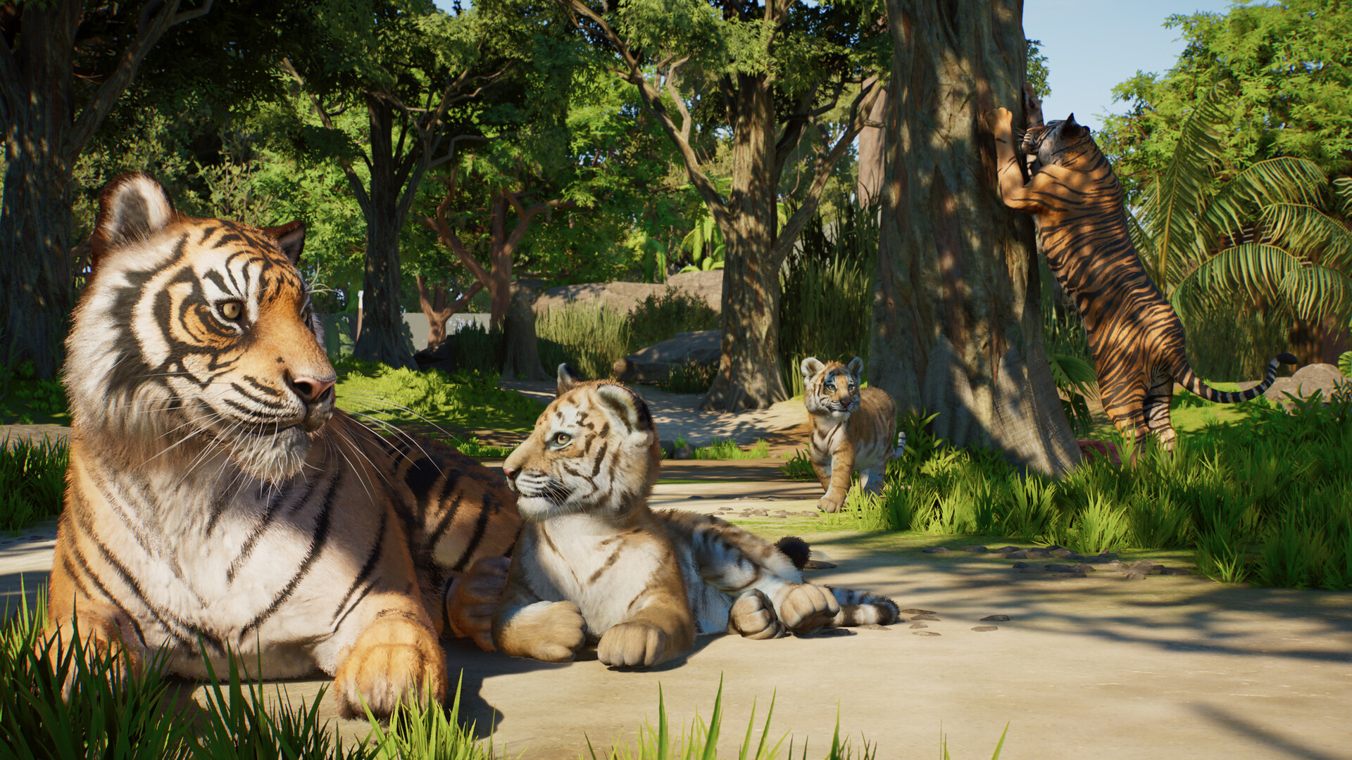 『Planet Zoo 2』発表!10月13日に発売決定。自由自在に動物園を作れるゲーム新作。完全水生種と飛行する動物が追加_003