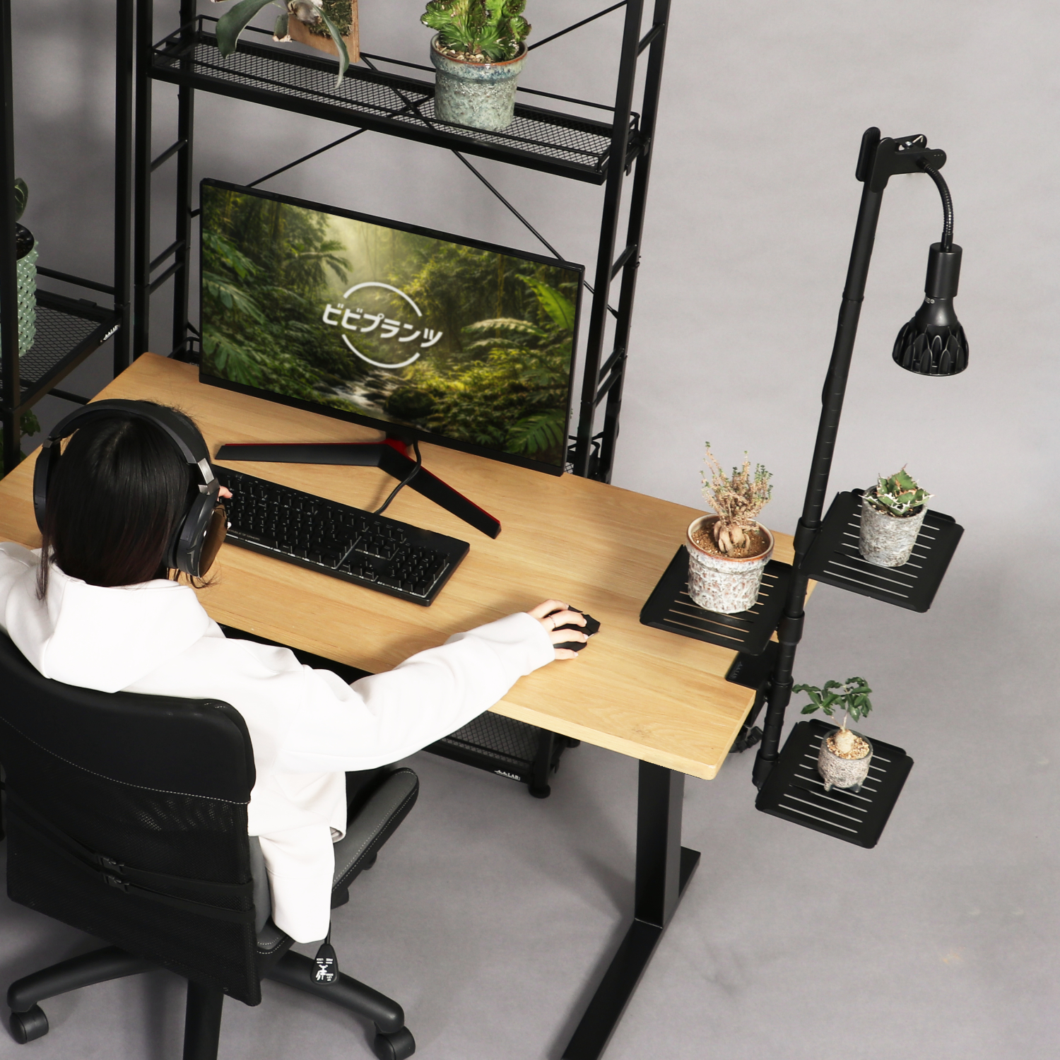 デスク専用の植物棚「デスクプランタースタンド LPA-C230」が発売_002