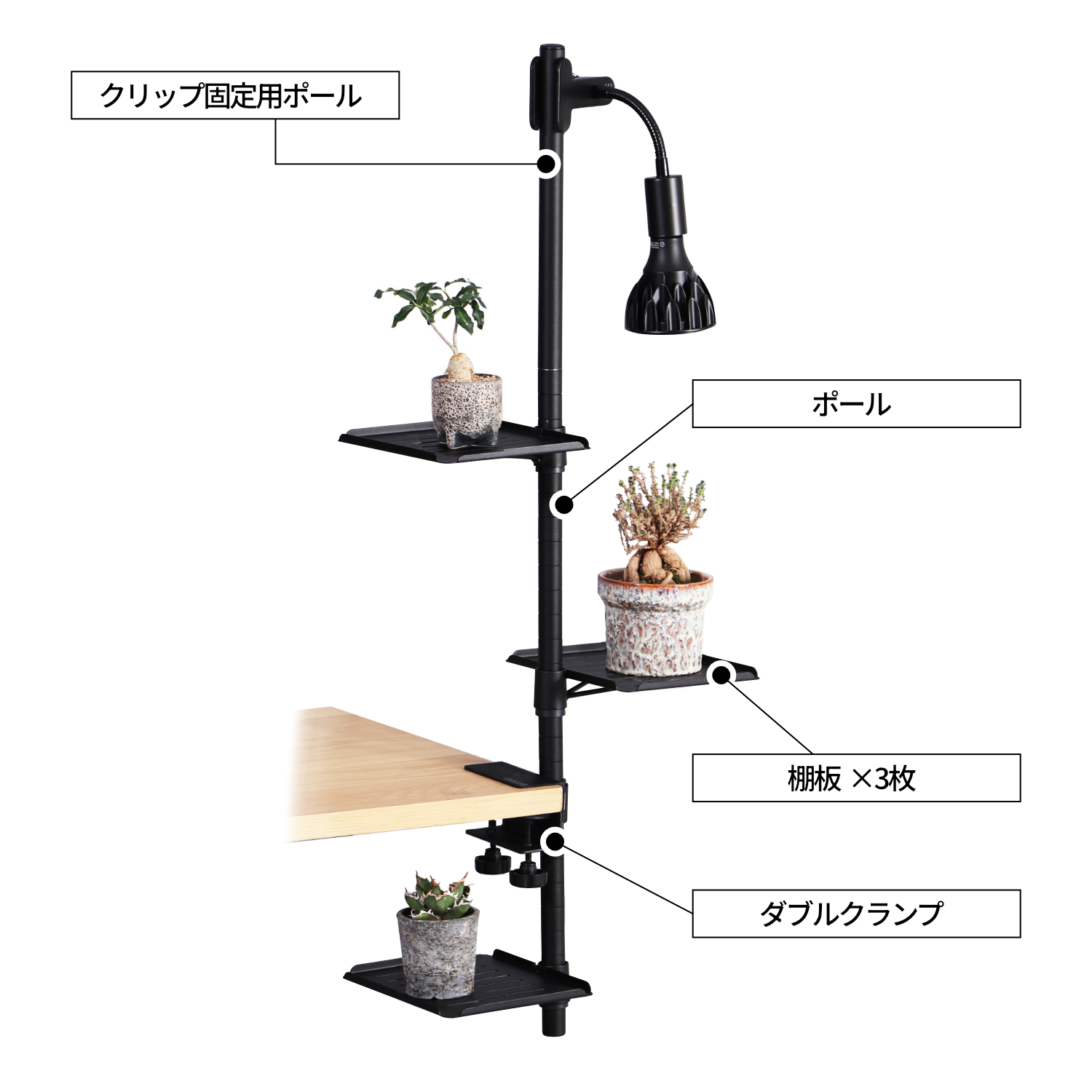 デスク専用の植物棚「デスクプランタースタンド LPA-C230」が発売_022