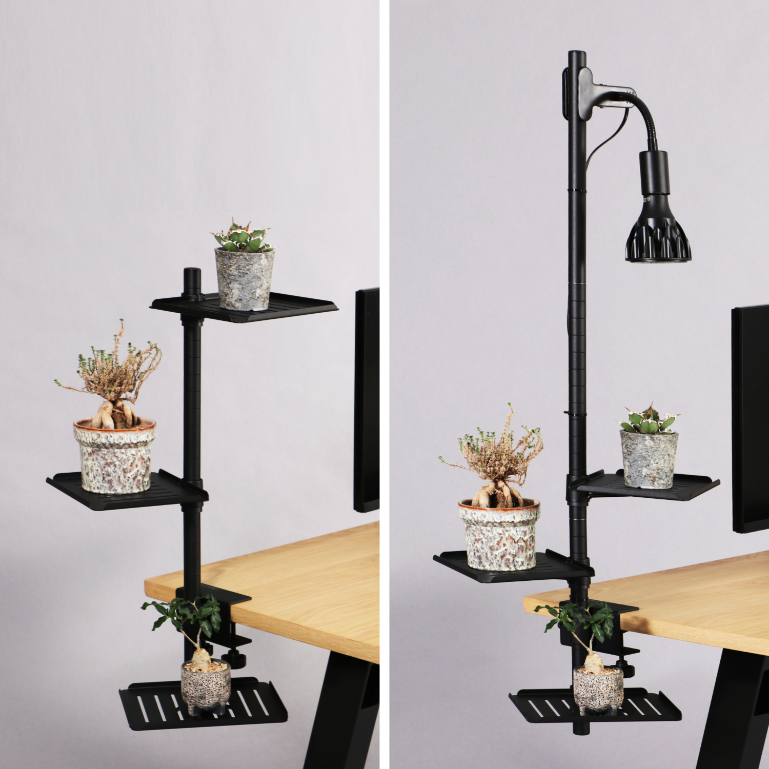 デスク専用の植物棚「デスクプランタースタンド LPA-C230」が発売_004