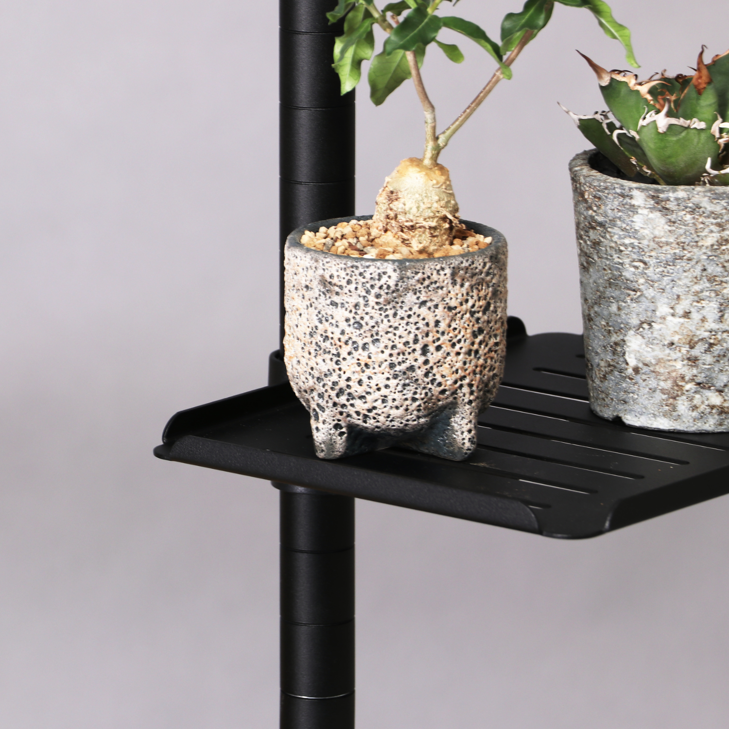 デスク専用の植物棚「デスクプランタースタンド LPA-C230」が発売_006