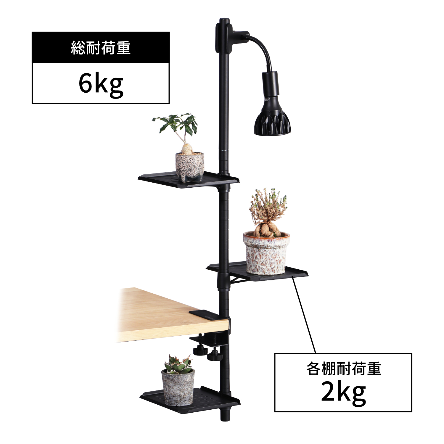 デスク専用の植物棚「デスクプランタースタンド LPA-C230」が発売_008