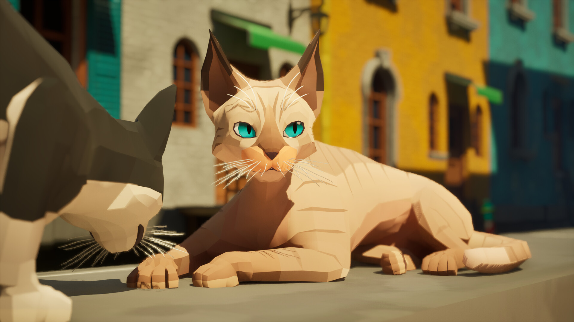 【マルチ対応】“最高のネコ写真”を撮影するゲーム『Cat a Photo』がかわいい_004