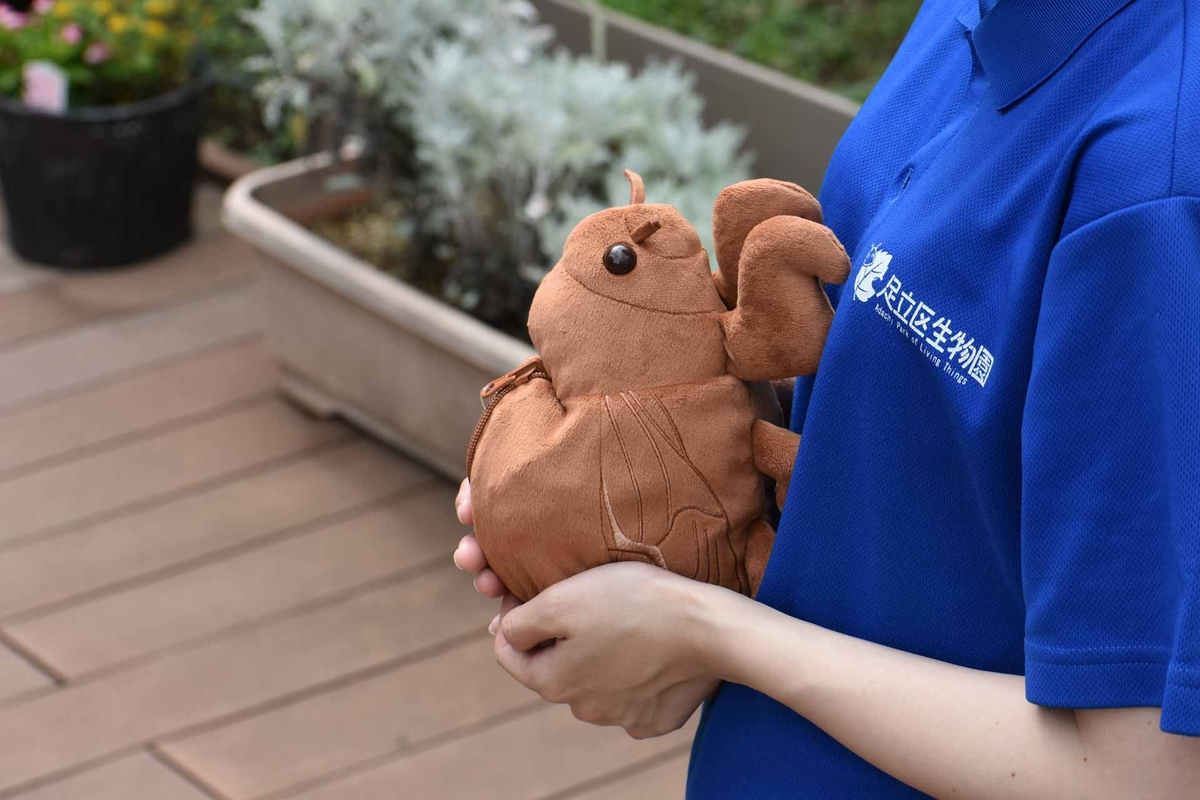 “セミの抜け殻”から幼虫を羽化できる巨大ぬいぐるみが登場_007