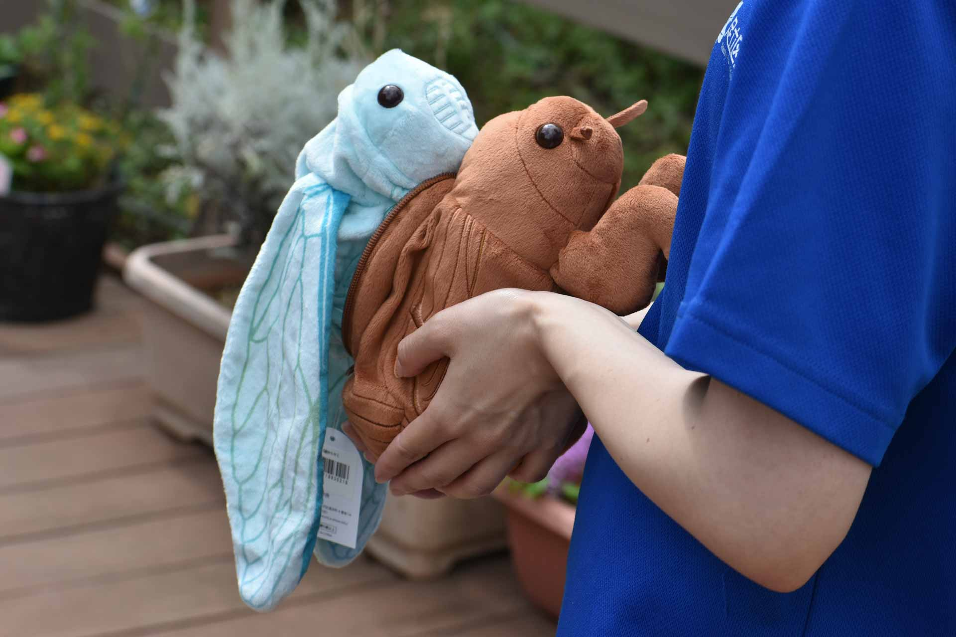 “セミの抜け殻”から幼虫を羽化できる巨大ぬいぐるみが登場_008