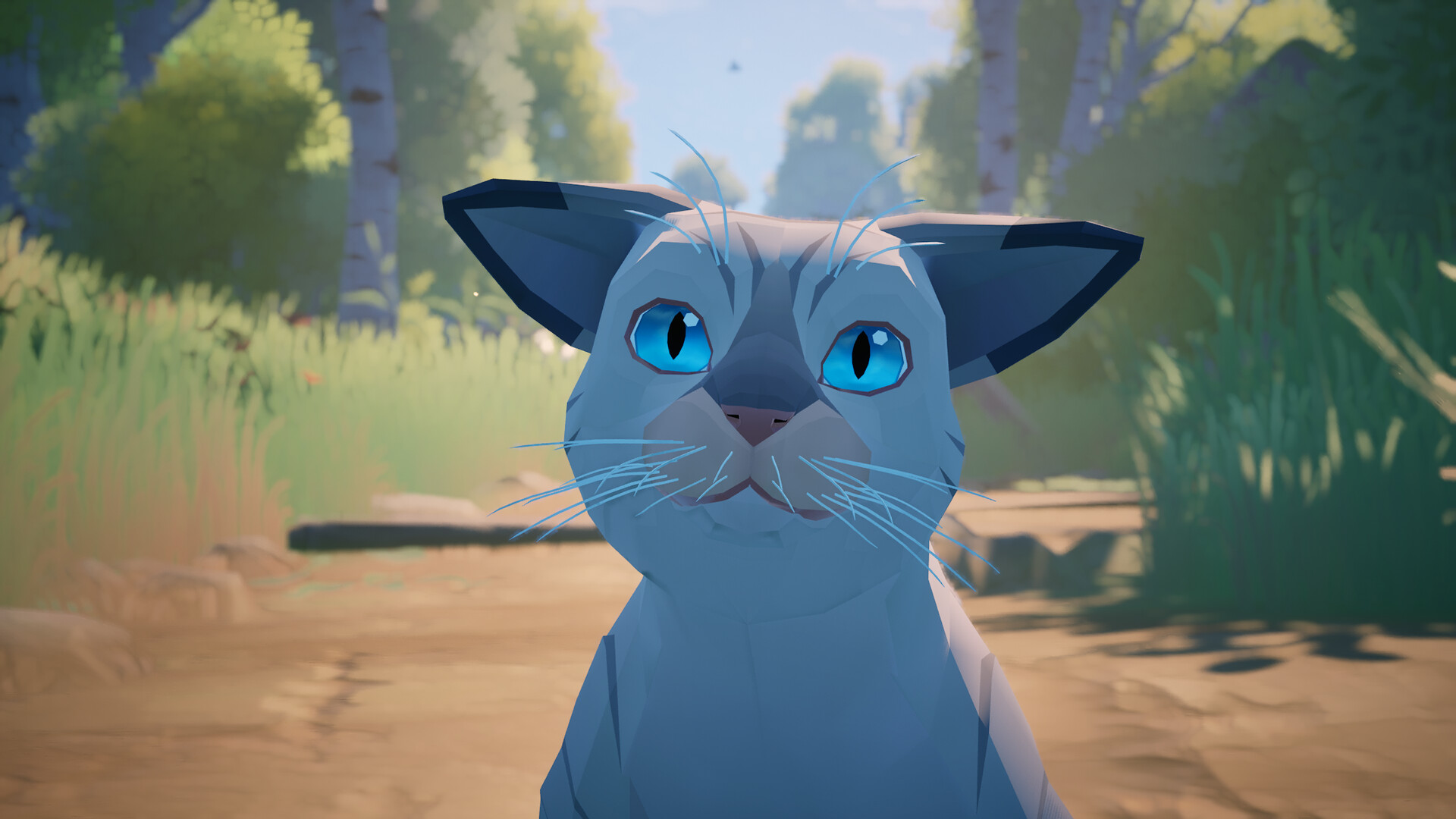 【マルチ対応】“最高のネコ写真”を撮影するゲーム『Cat a Photo』がかわいい_007