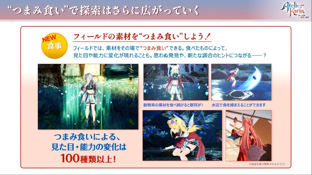 『カリアのアトリエ ~夜の王国と追憶の道標~』ゲームシステム&新キャラクター詳細が公開_021