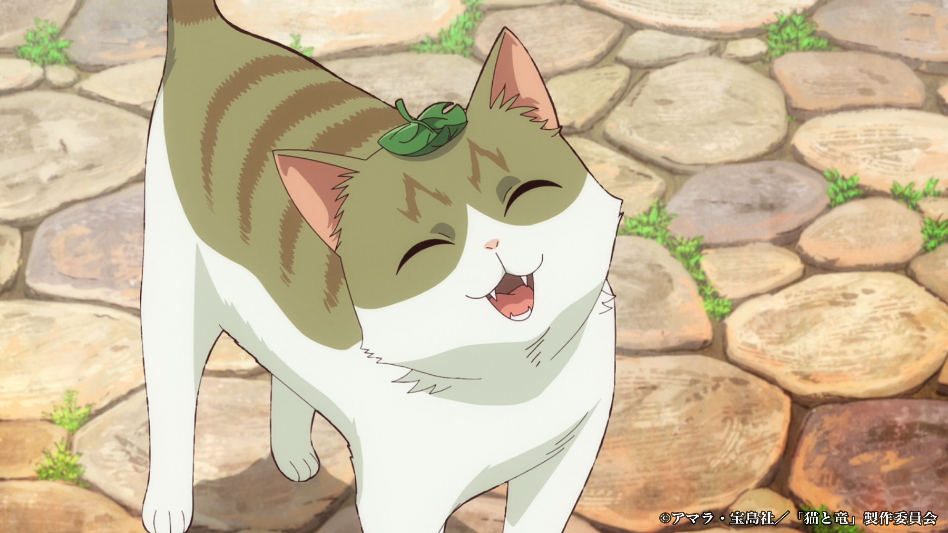 アニメ『猫と竜』第1弾PV・放送詳細公開。芹澤優・小市眞琴・一条和矢の新キャストも発表_003