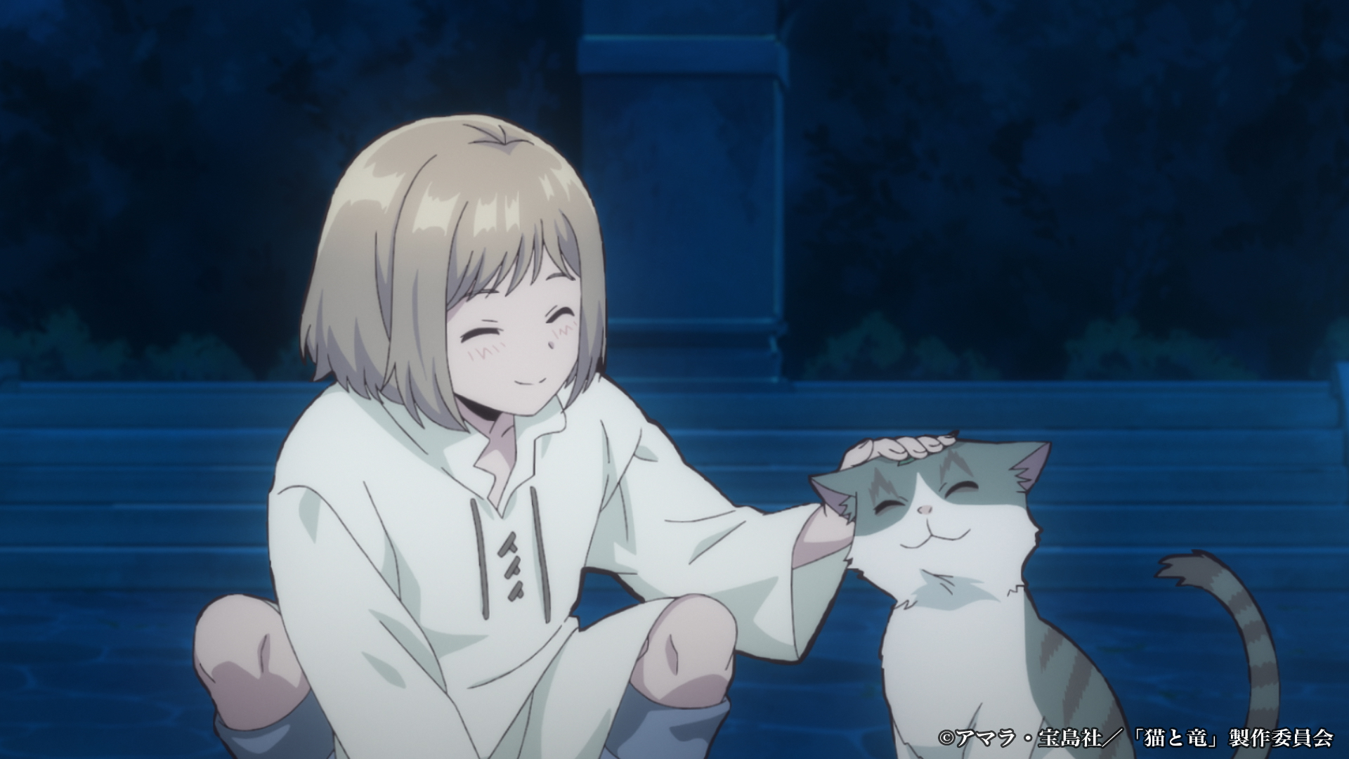 アニメ『猫と竜』第1弾PV・放送詳細公開。芹澤優・小市眞琴・一条和矢の新キャストも発表_004