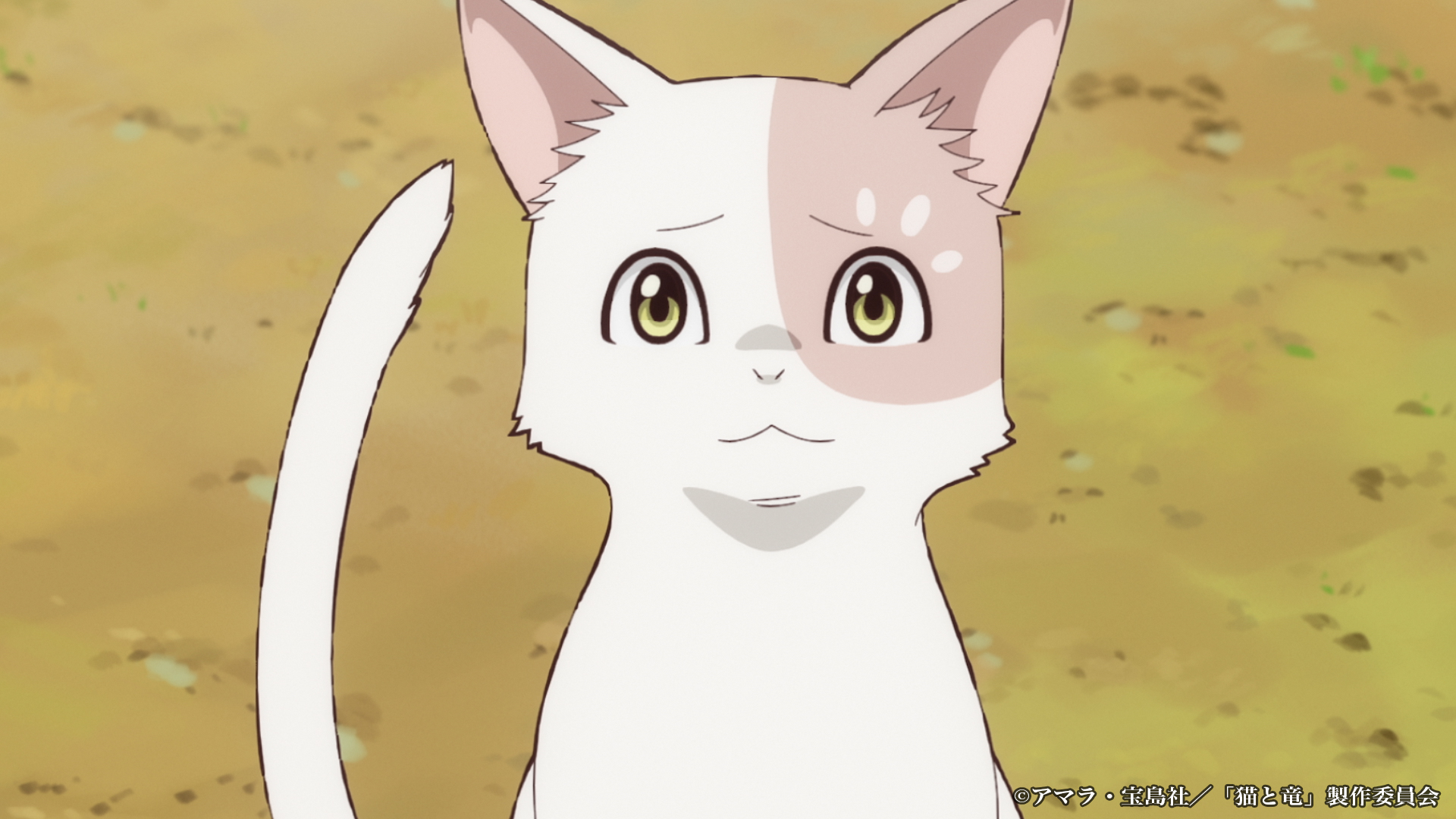 アニメ『猫と竜』第1弾PV・放送詳細公開。芹澤優・小市眞琴・一条和矢の新キャストも発表_005