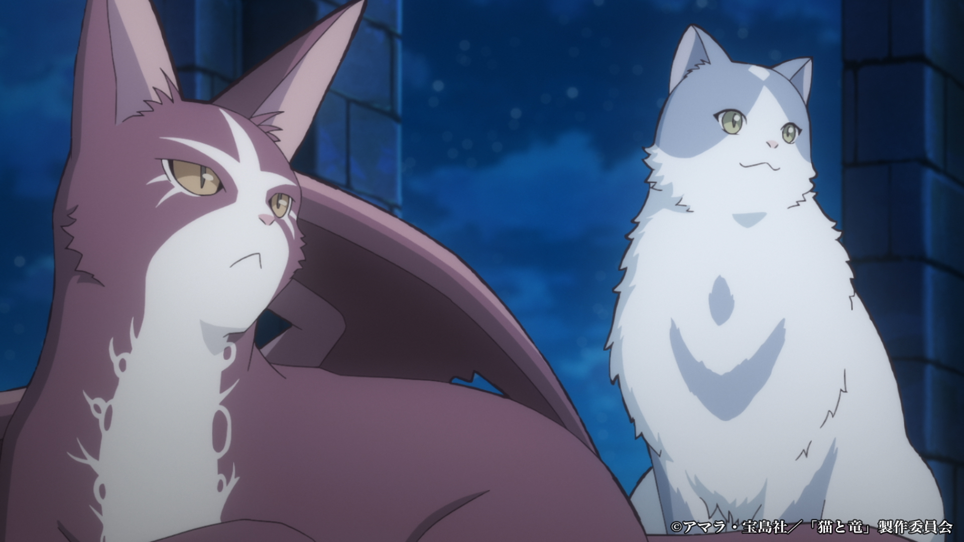 アニメ『猫と竜』第1弾PV・放送詳細公開。芹澤優・小市眞琴・一条和矢の新キャストも発表_007
