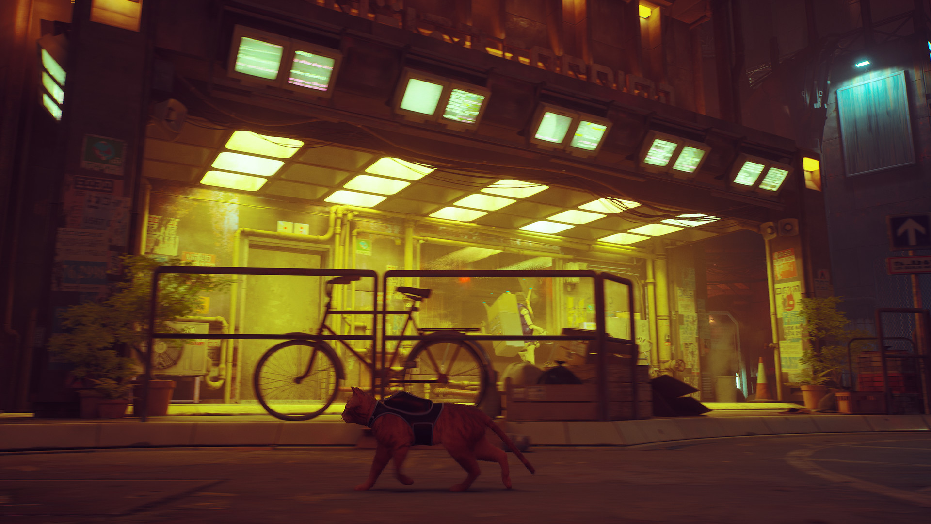 『Stray』猫がサイバーシティを冒険するゲームがSteamで50%オフの1750円で買えるセール中_003