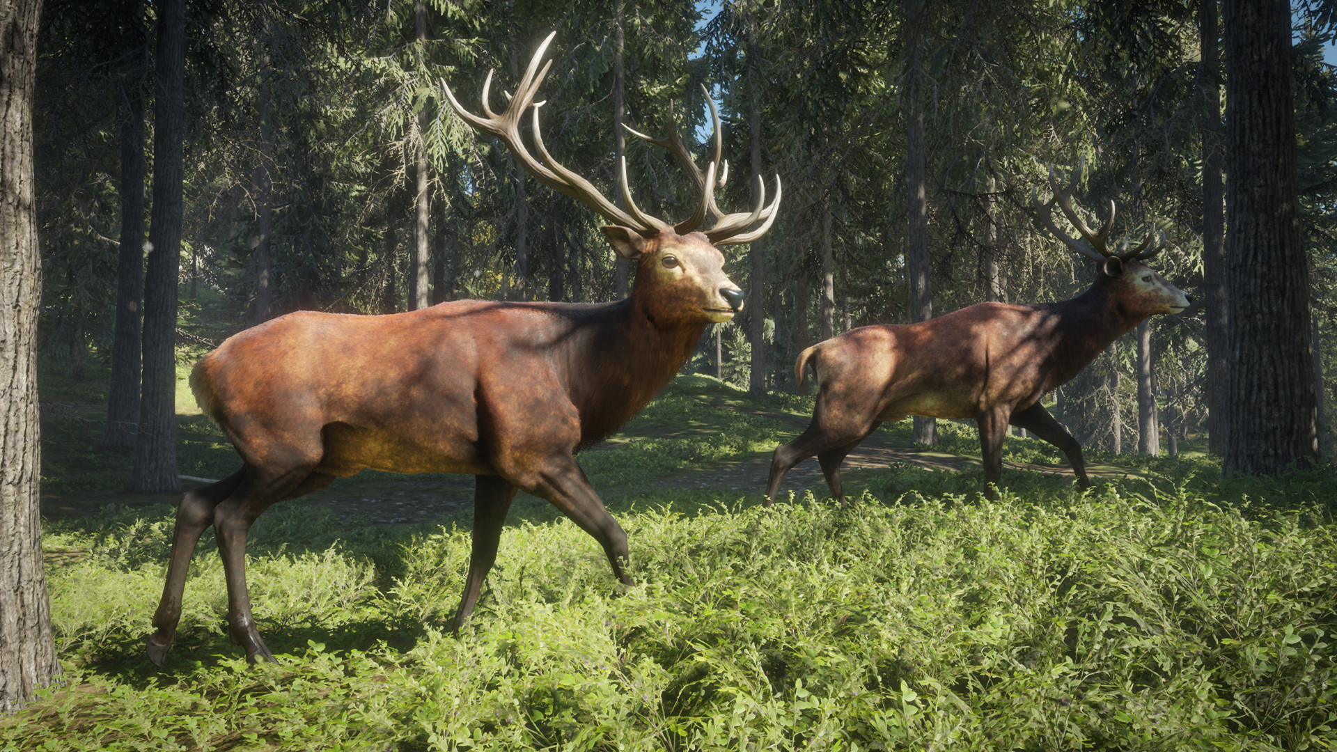 『theHunter: Call of the Wild』を230円で購入できるセールが開催中。8人マルチ対応の狩りゲー_001