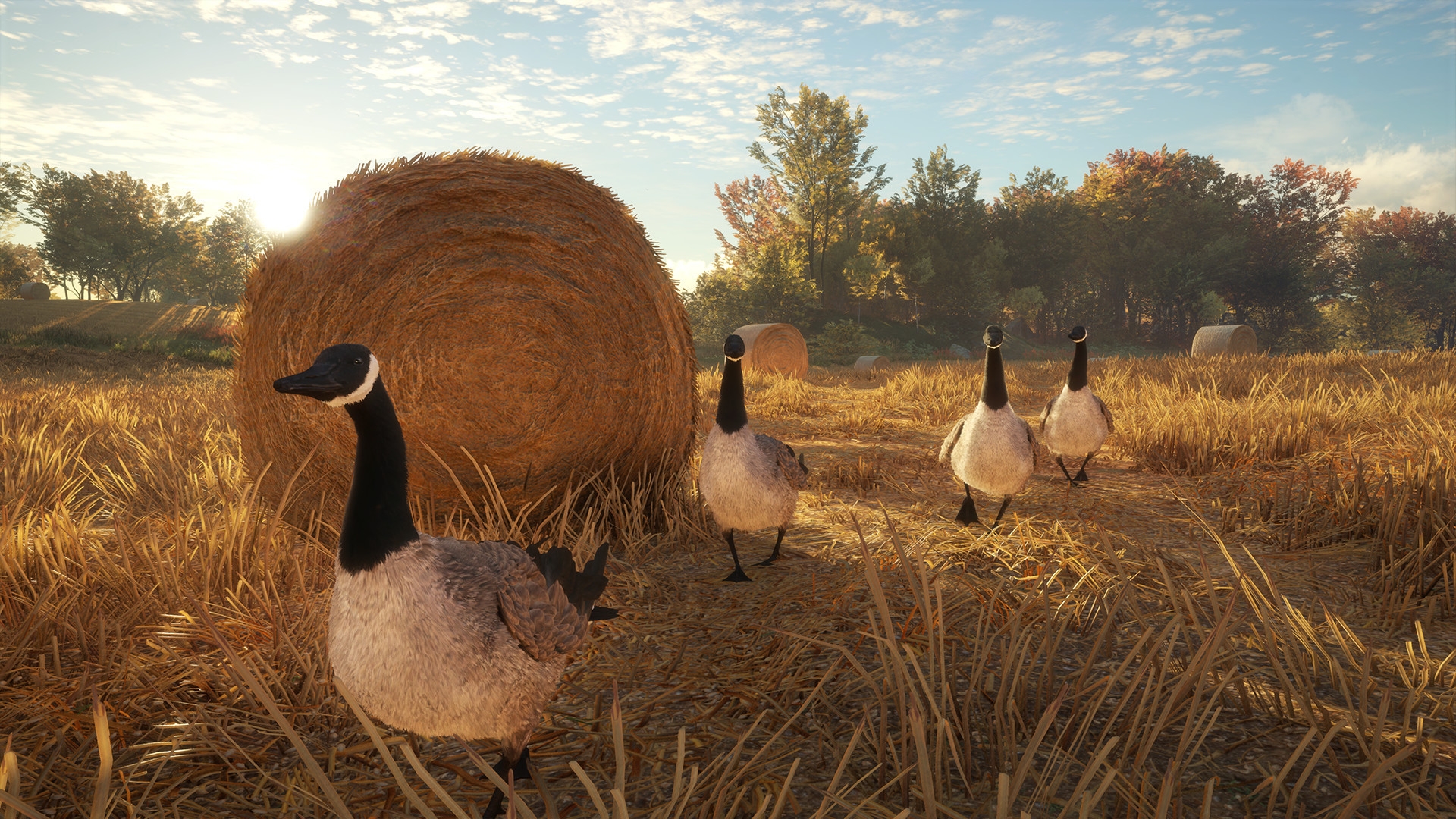 『theHunter: Call of the Wild』を230円で購入できるセールが開催中。8人マルチ対応の狩りゲー_002