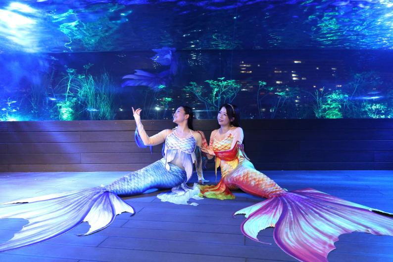「超かぐや姫！×サンシャイン水族館」コラボイベントが夏休みの7月24日～8月30日に開催決定_003