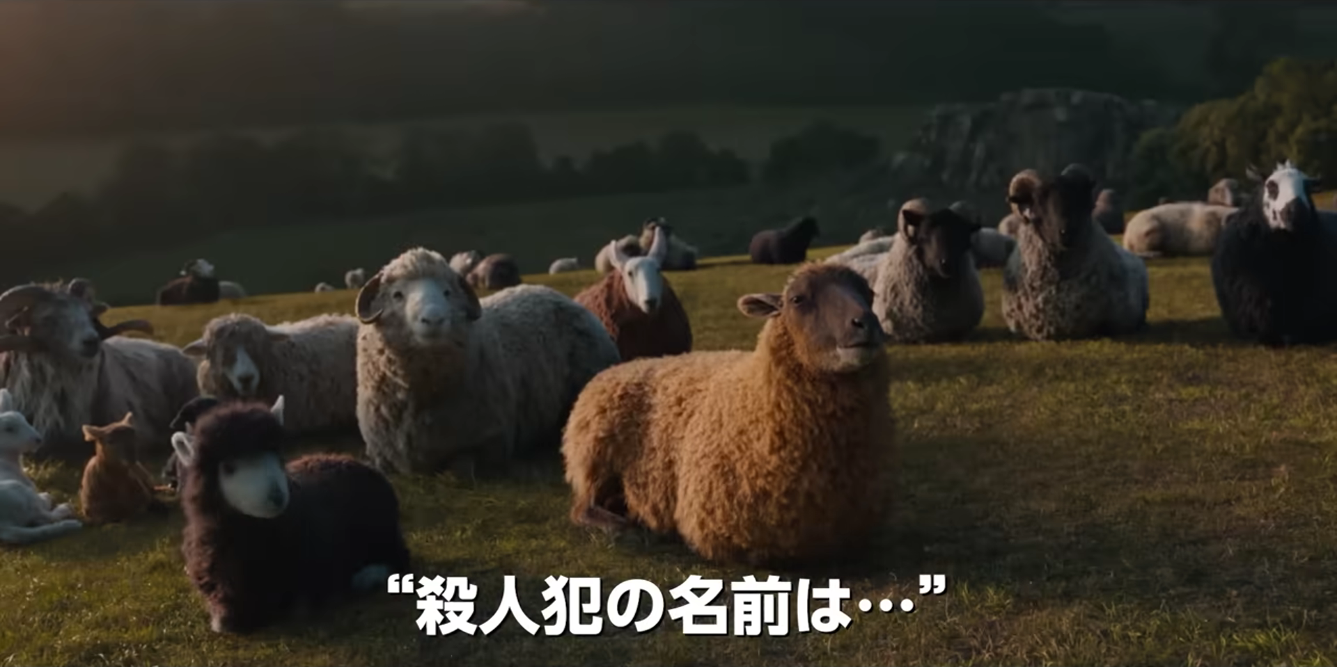 映画『ひつじ探偵団』レビュー・感想・評価：羊に背負わせるにはどう考えても重すぎる問題を描いている映画だった_003
