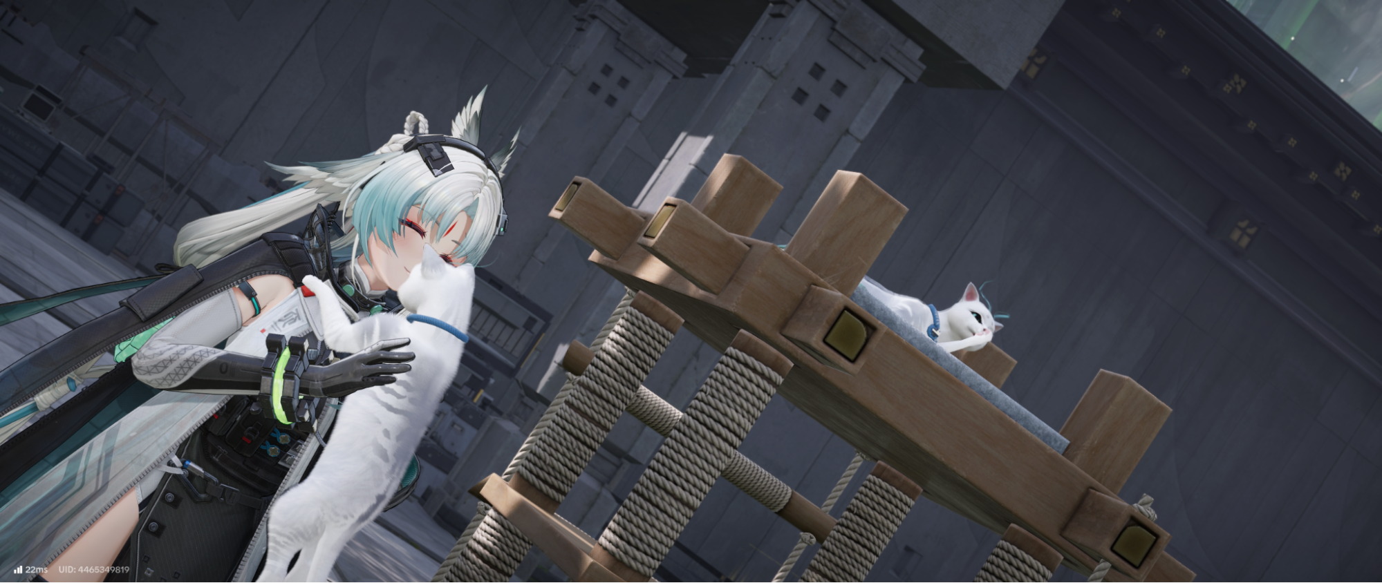 『アークナイツ：エンドフィールド』新バージョンプレイ日記：オクギがプレイアブル参戦！ずっとネコ愛でてないか？_052