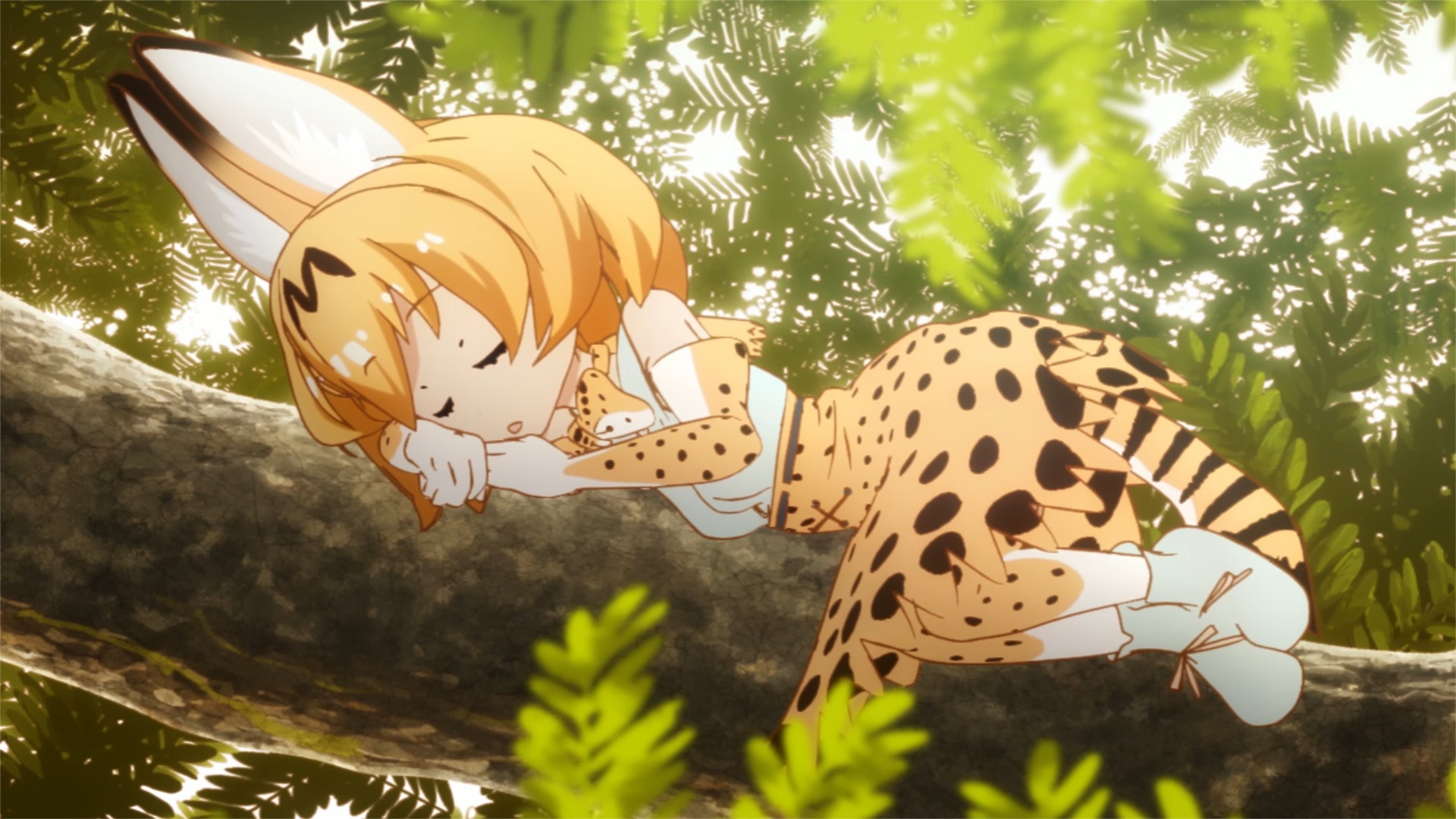 【無料】TVアニメ『けものフレンズ』ABEMAで7月21日より一挙放送_002