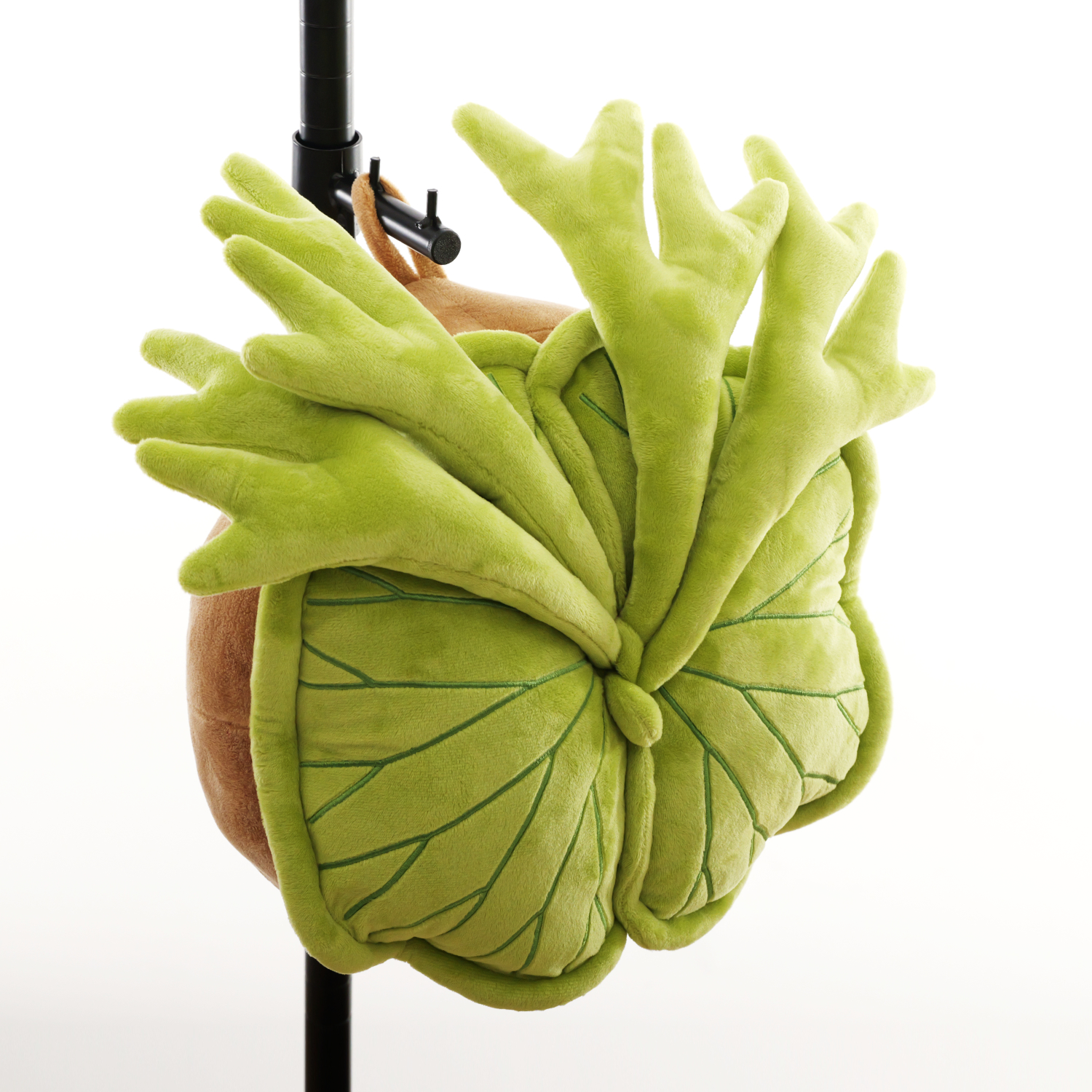 抱きしめられる「植物ぬいぐるみクッション」が7月より発売_011