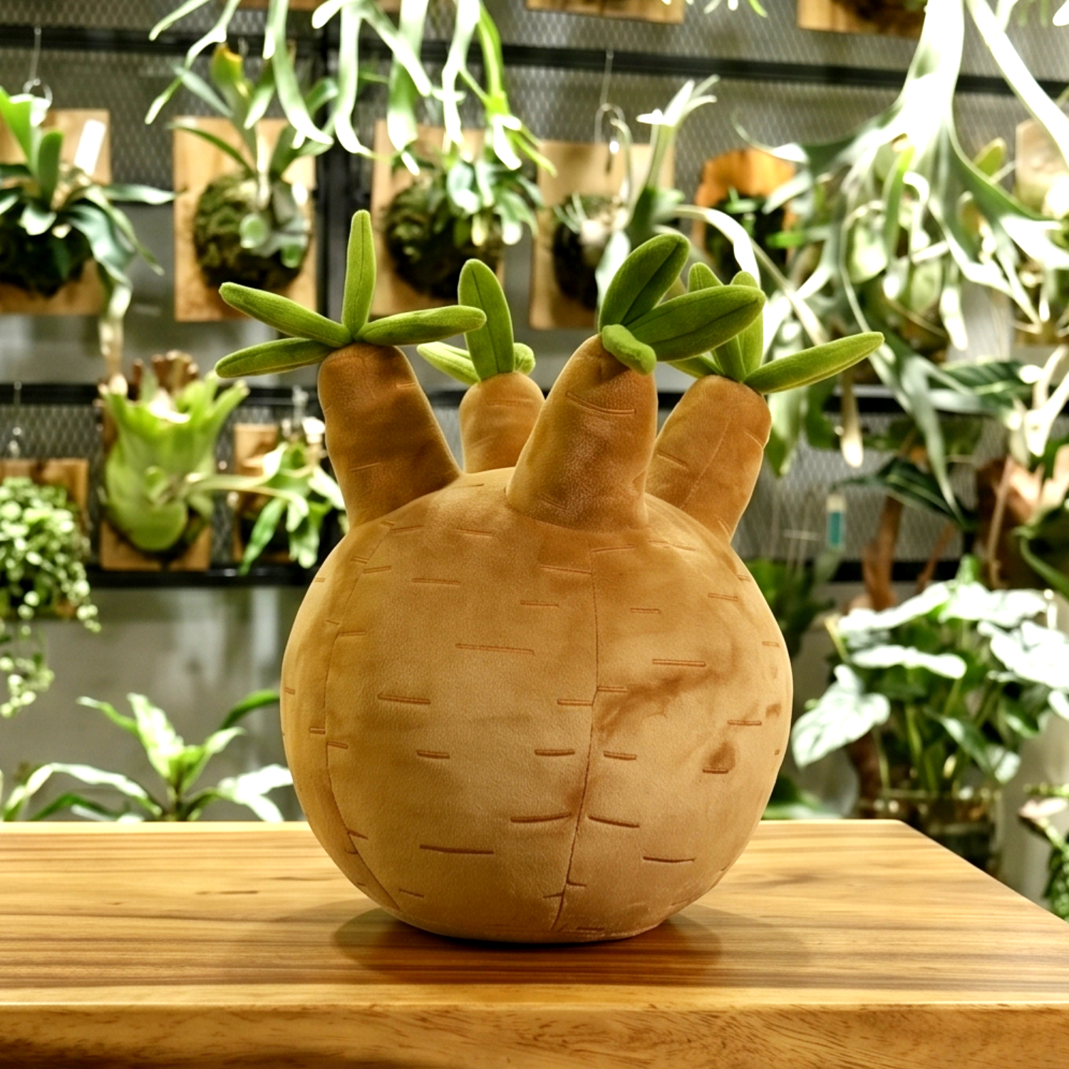抱きしめられる「植物ぬいぐるみクッション」が7月より発売_004