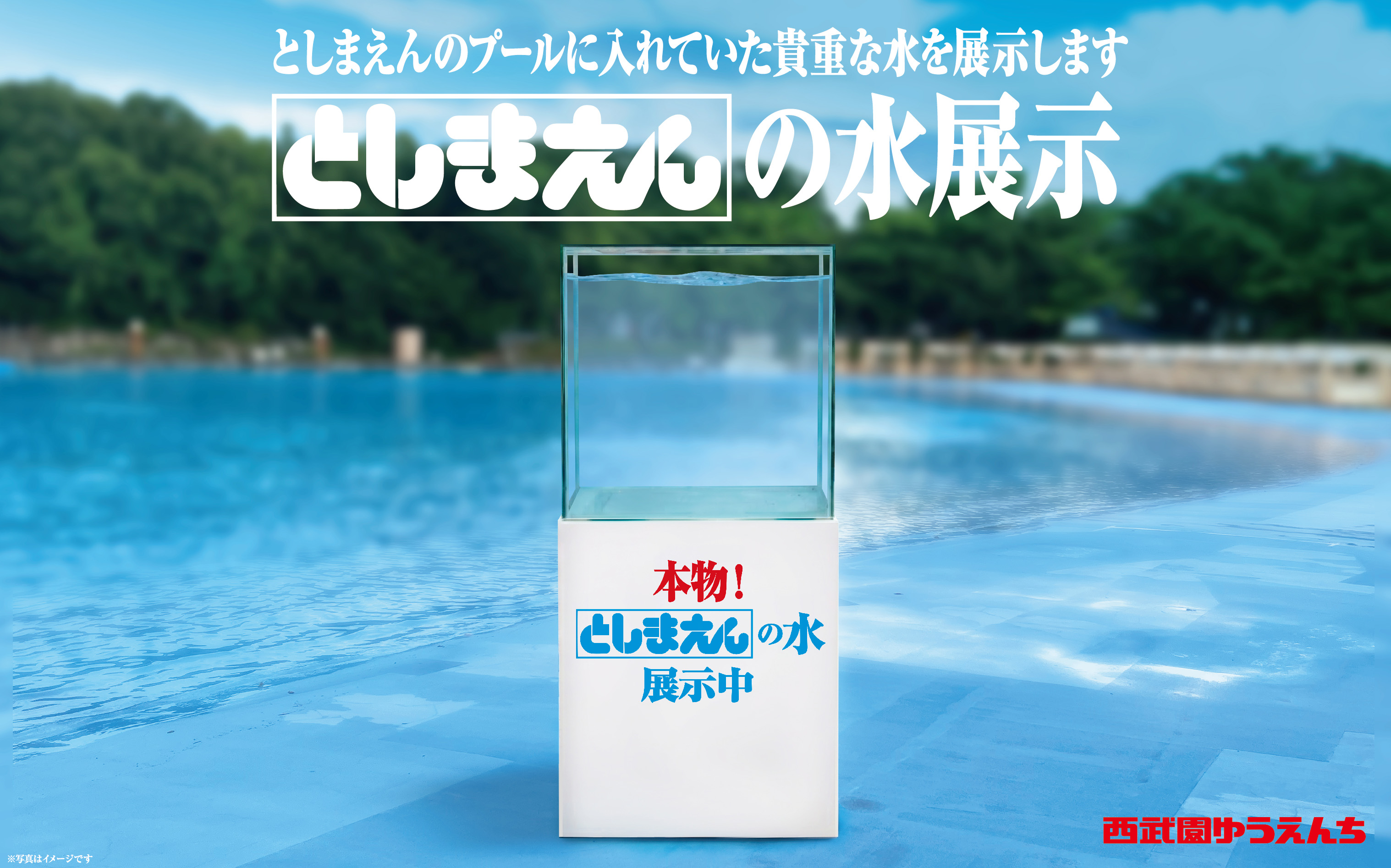 としまえんのプールがまさかの復活!?西武園ゆうえんちのプールがひと夏だけ、なつかしの「としまえん仕様」に_004
