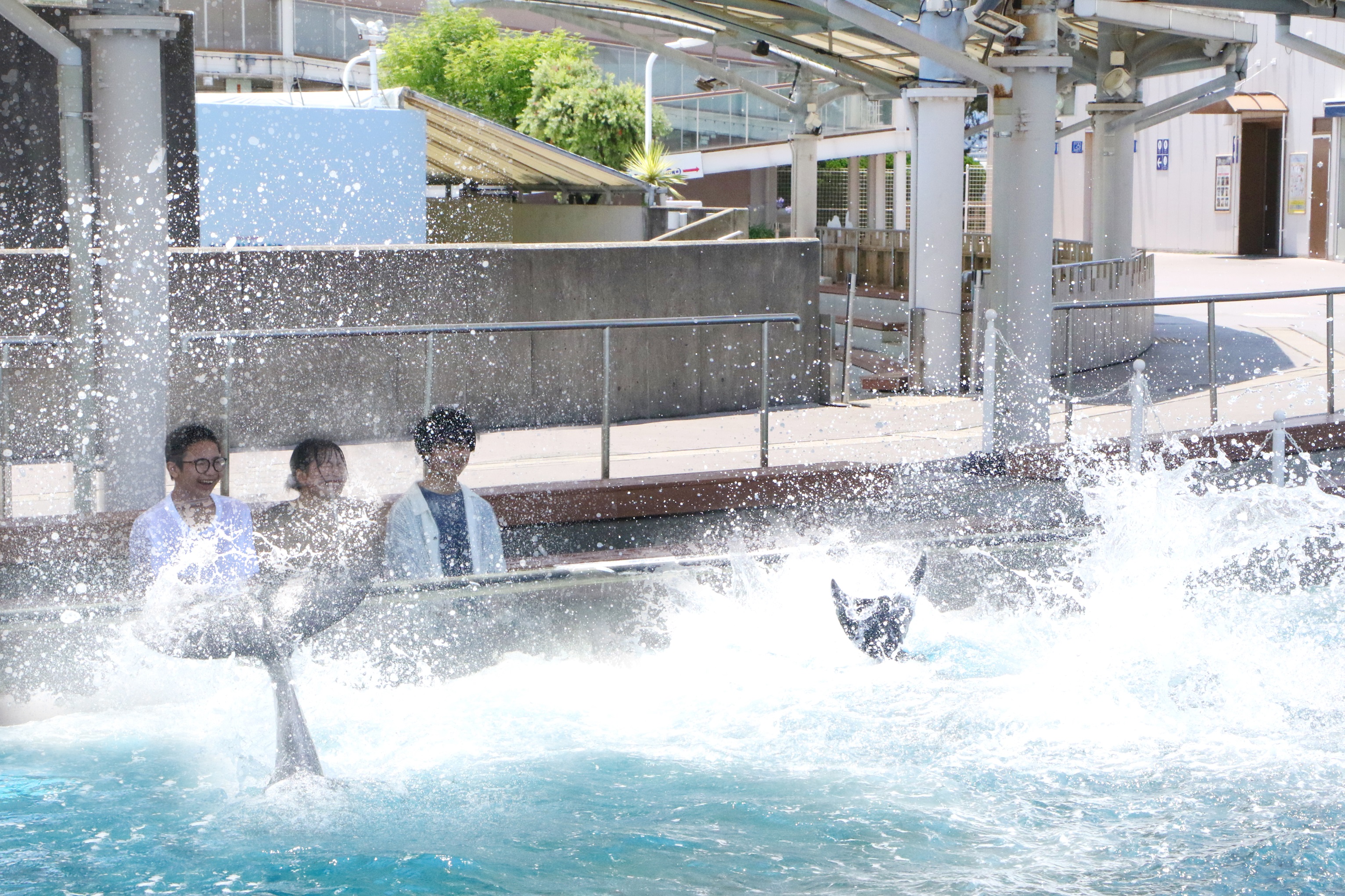 マツケン×八景島シーパラダイスのコラボイベントが“進化”して7月18日から再登場_016